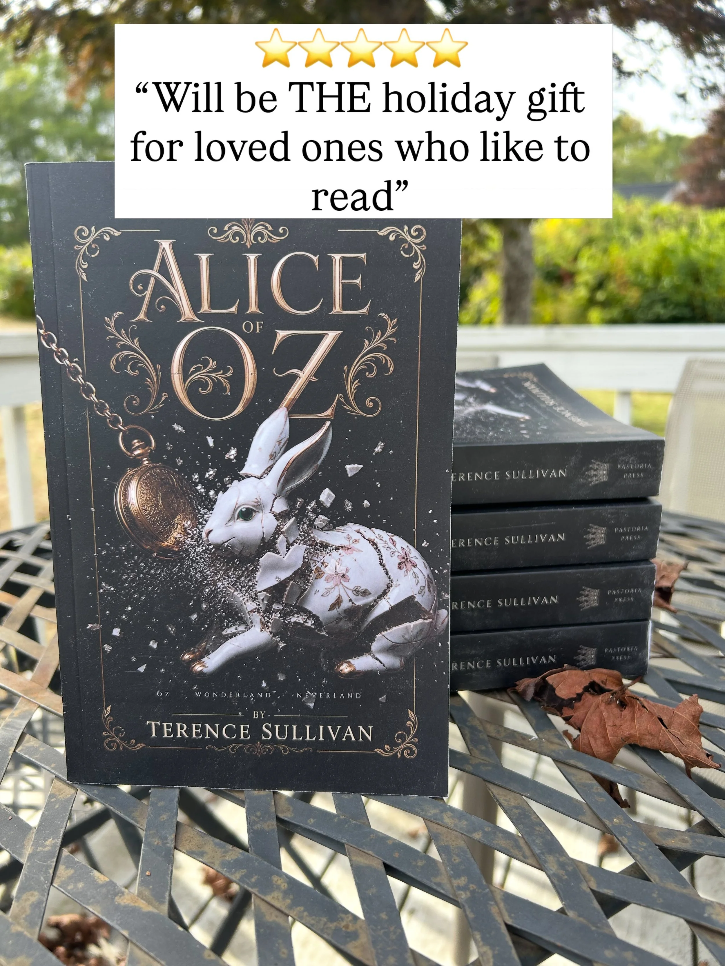 In February 2022, @papaterence was looking for an editor for a manuscript he had typed on his phone with his thumbs. Thank the realms (as his characters like to say :), he chose me. Now his amazing dark fantasy novel ALICE OF OZ, which we worked on t