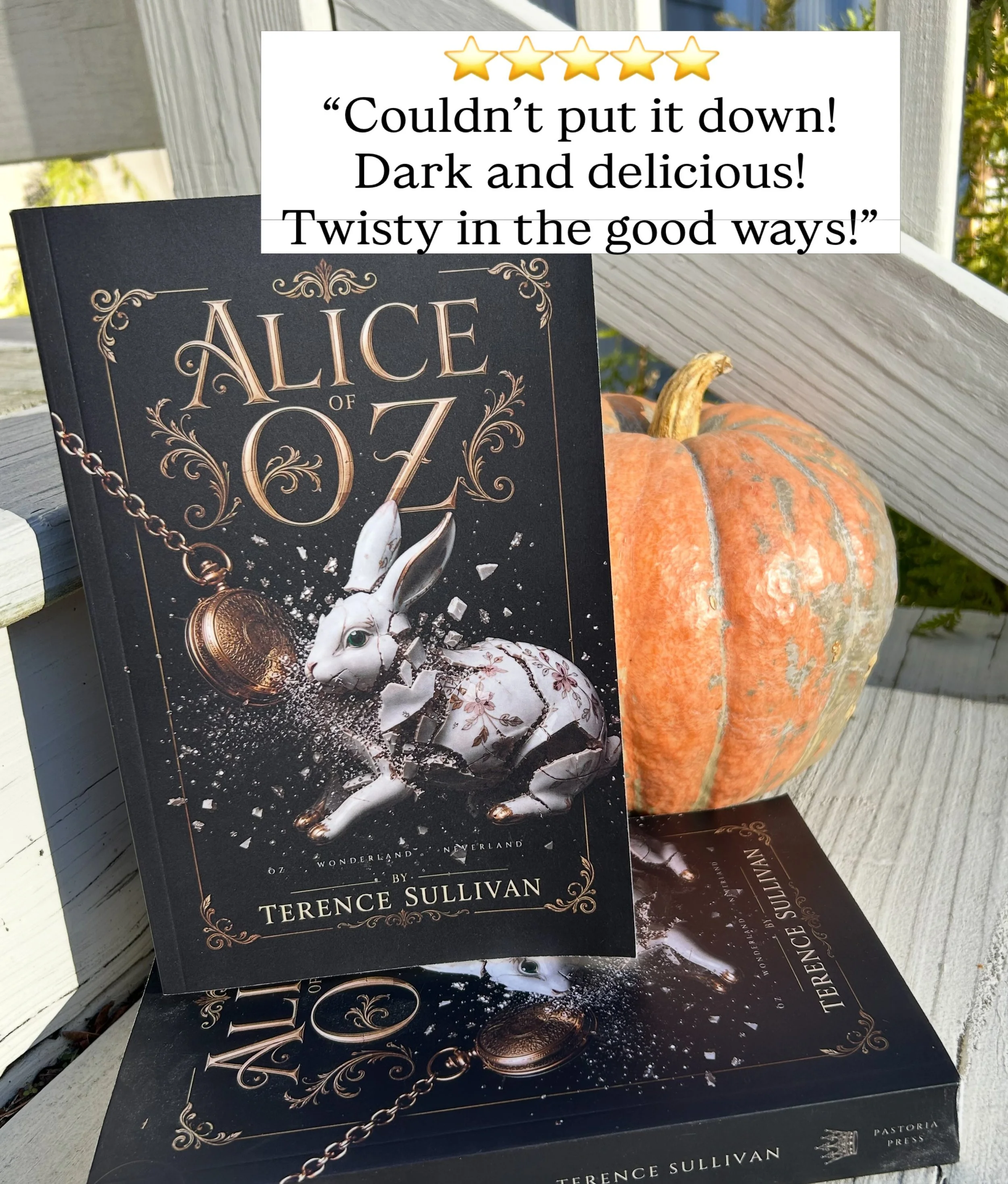 Looking for your next can&rsquo;t-put-it-down read in the dark fantasy-fairytale retelling realm? 🧐📚

My brilliant client and friend @papaterence is climbing the charts and getting rave reviews with his amazing new dark fantasy novel ALICE OF OZ! ✨