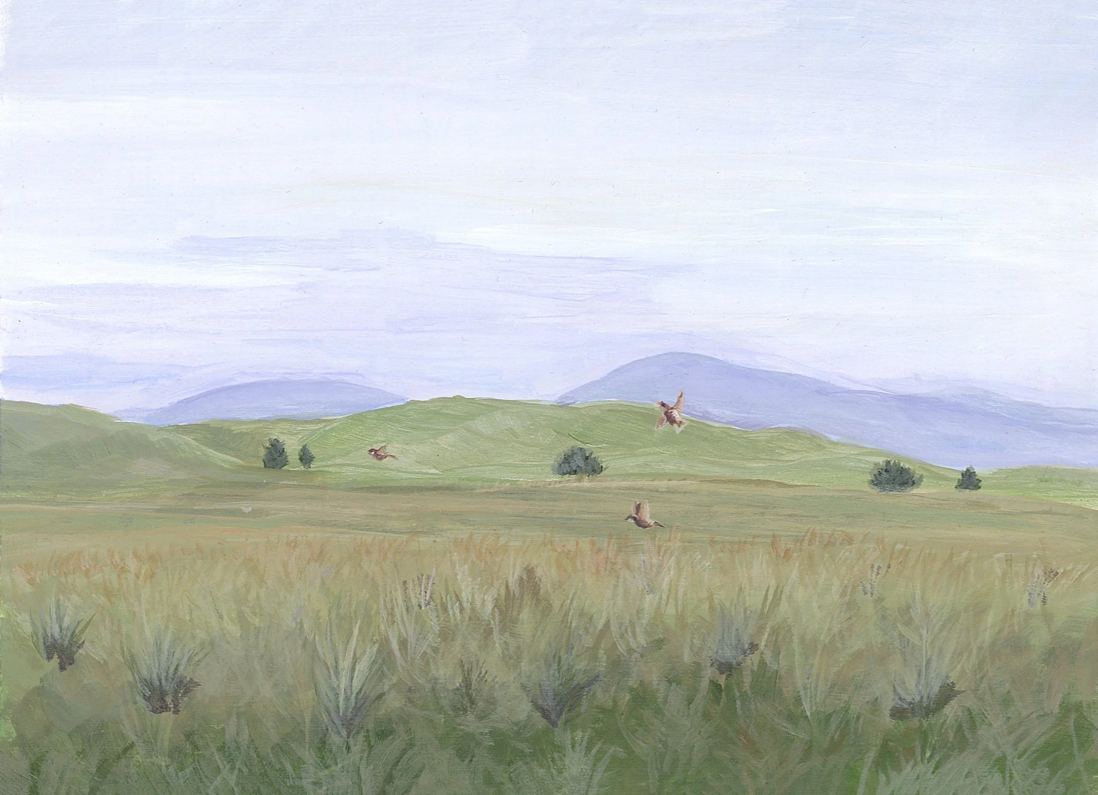 1. Dai Ling screen.jpg