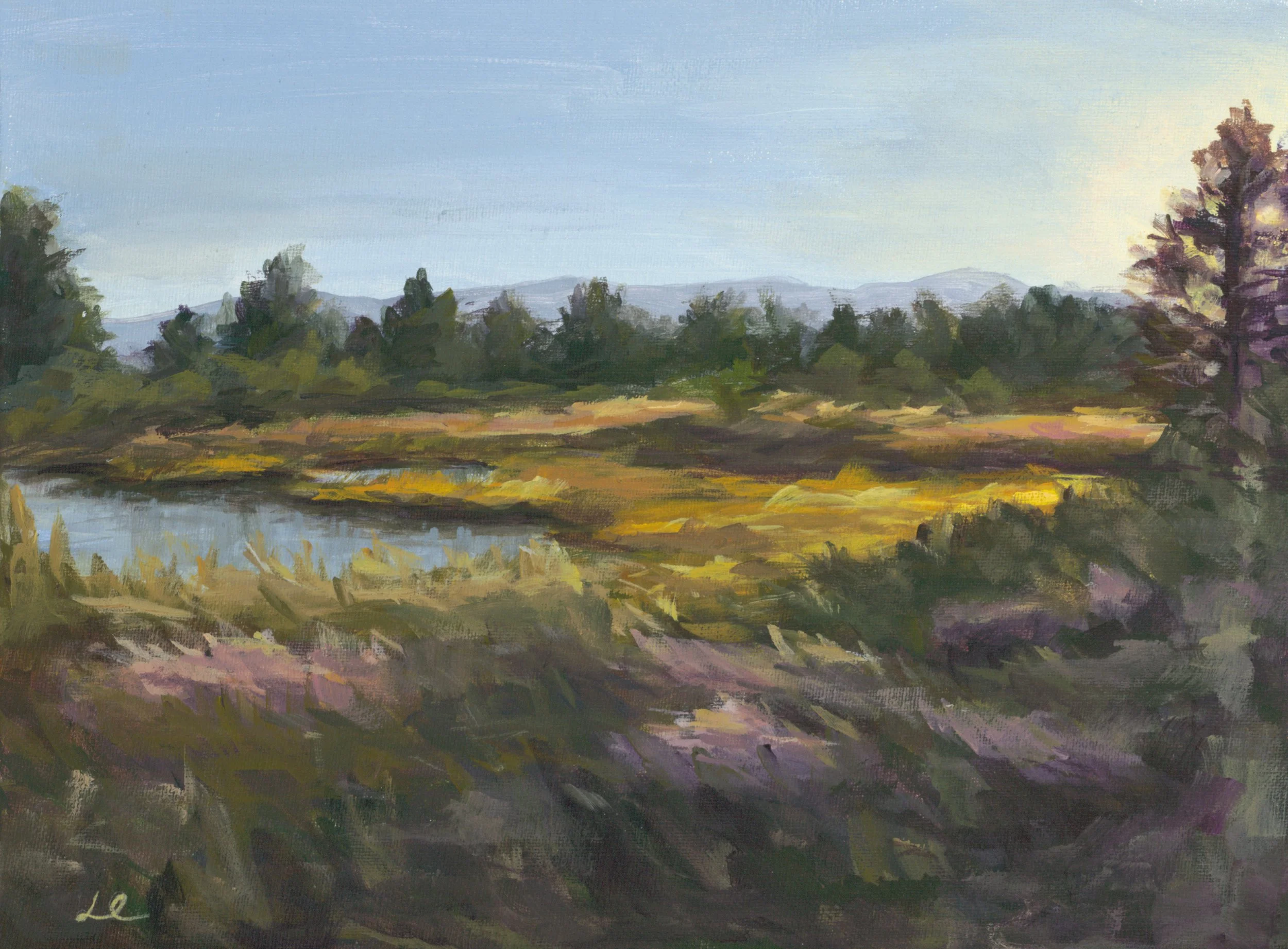 Tahoe Morning Light_Web.jpg