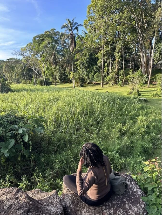 A person sitting on a rock, overlooking a lush green field with trees and a clear blue sky.