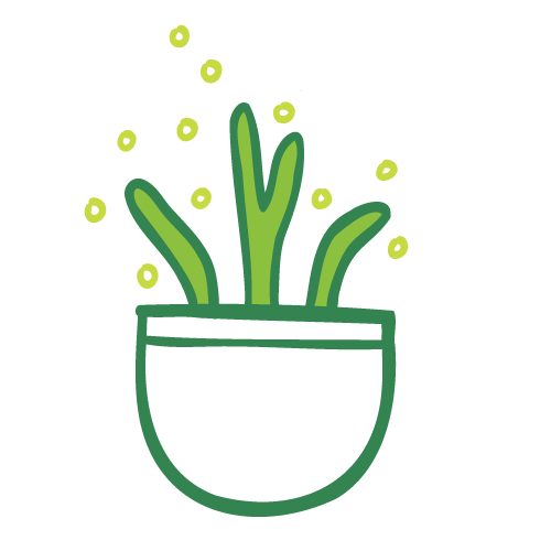 Yellow-green plant sprouting in a round pot with small leaves or dots around it.