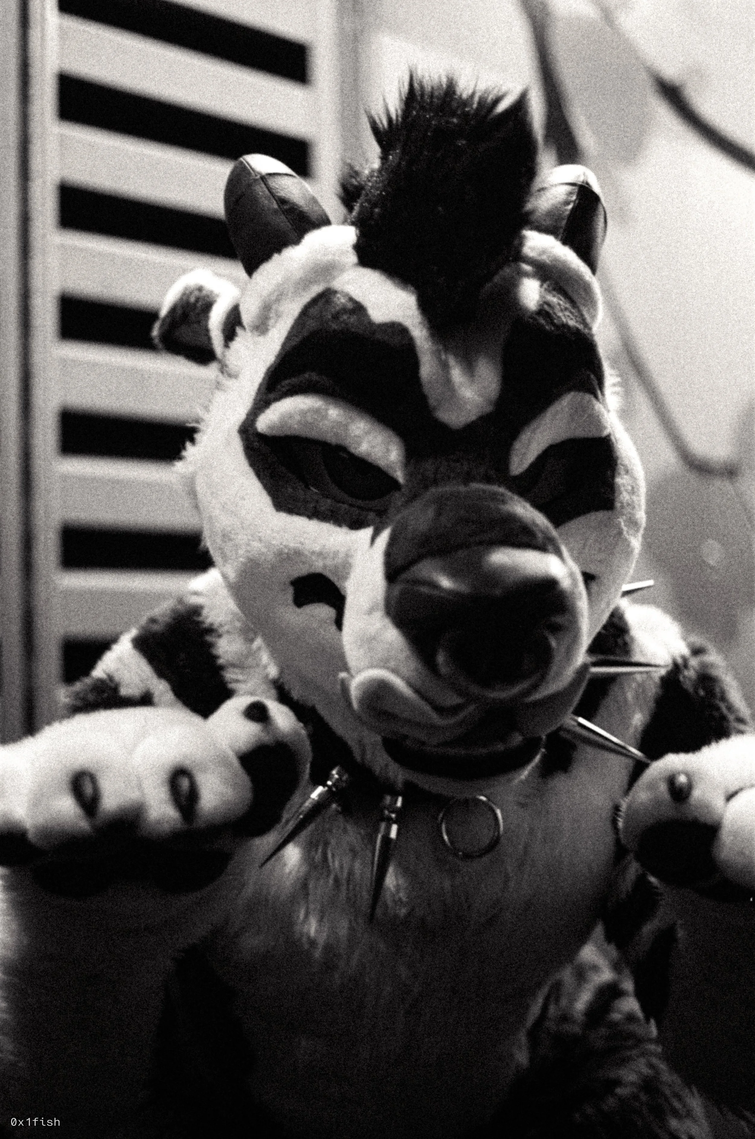 LFMWP25-FP4-2 (26 of 31).jpg