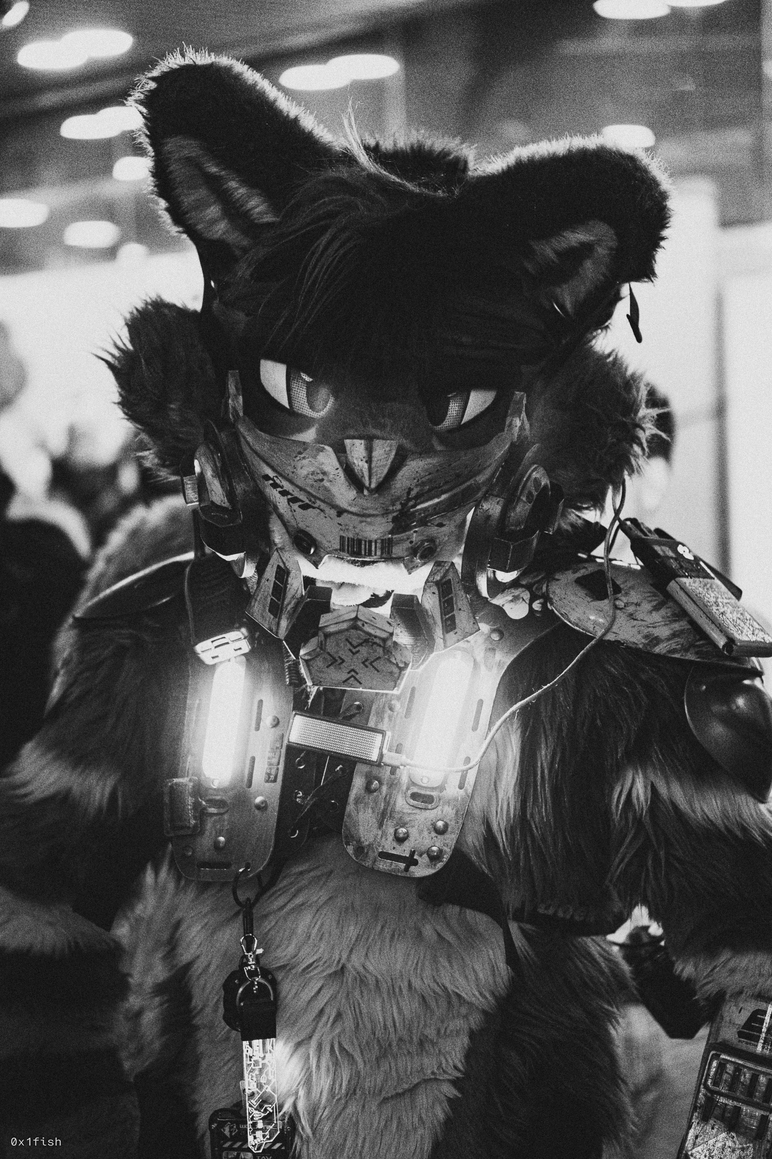 LFMWP25 (23 of 102).jpg