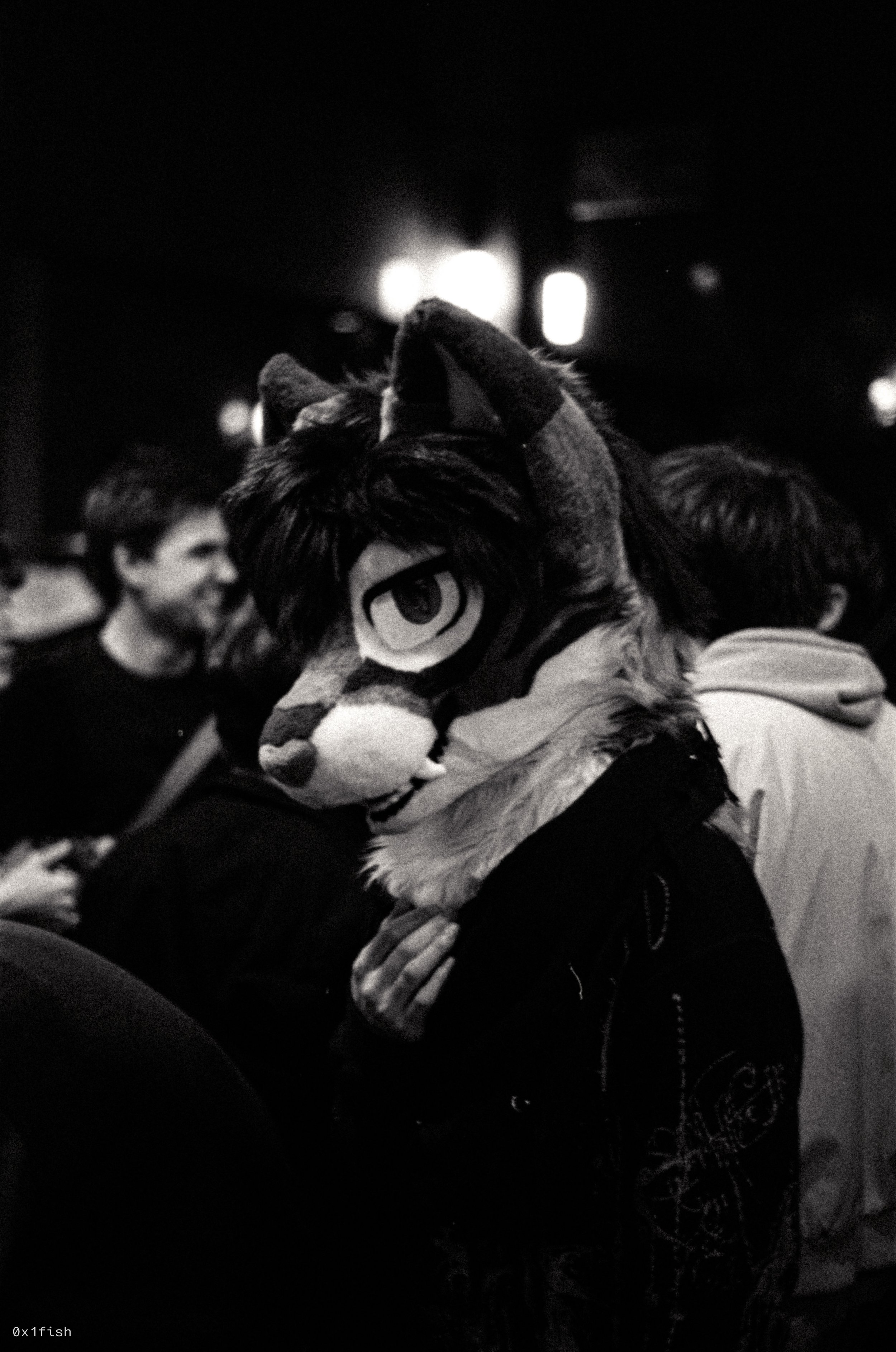 LFMWP25-FP4-1 (14 of 35).jpg