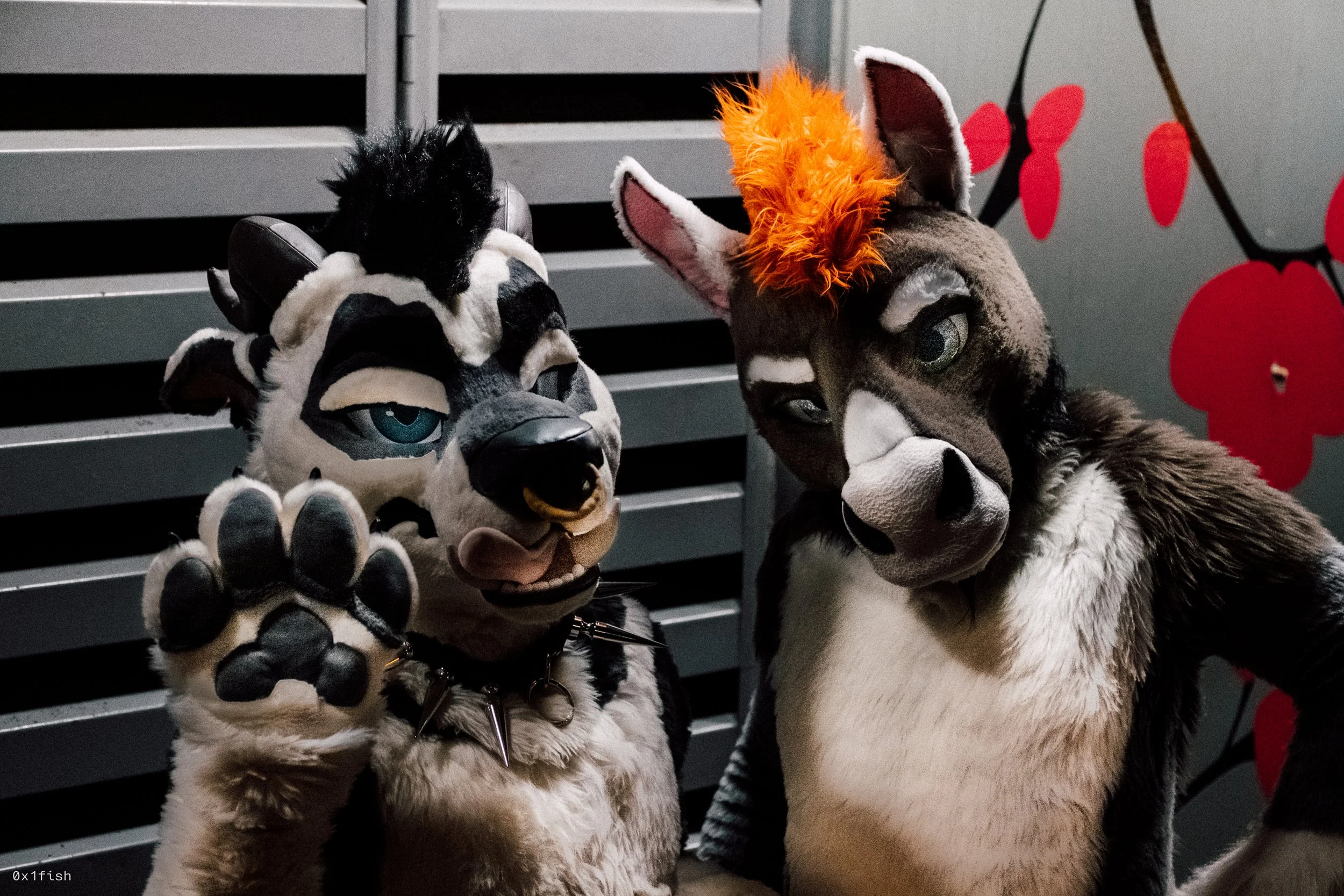 LFMWP25 (37 of 102).jpg