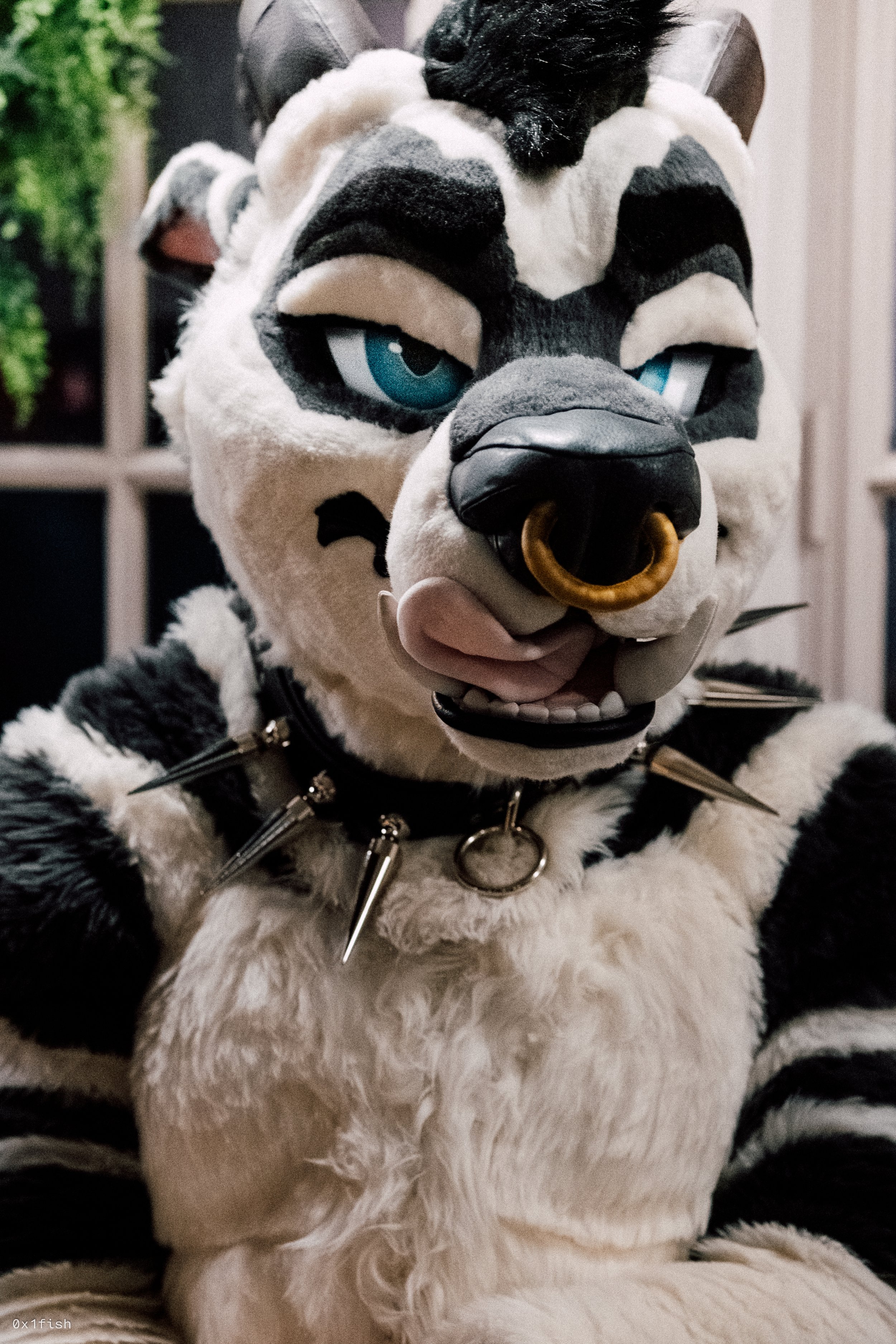 LFMWP25 (31 of 102).jpg