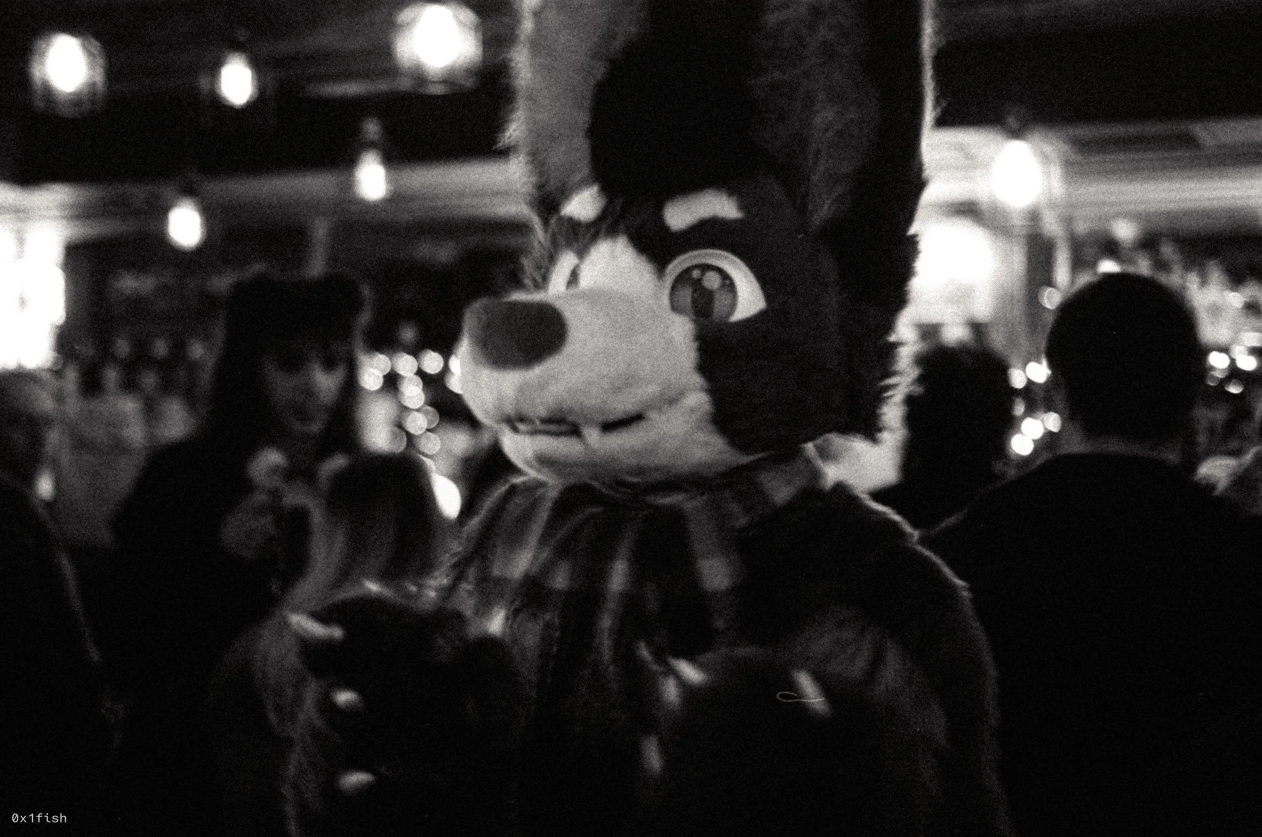 LFMWP25-FP4-2 (1 of 31).jpg