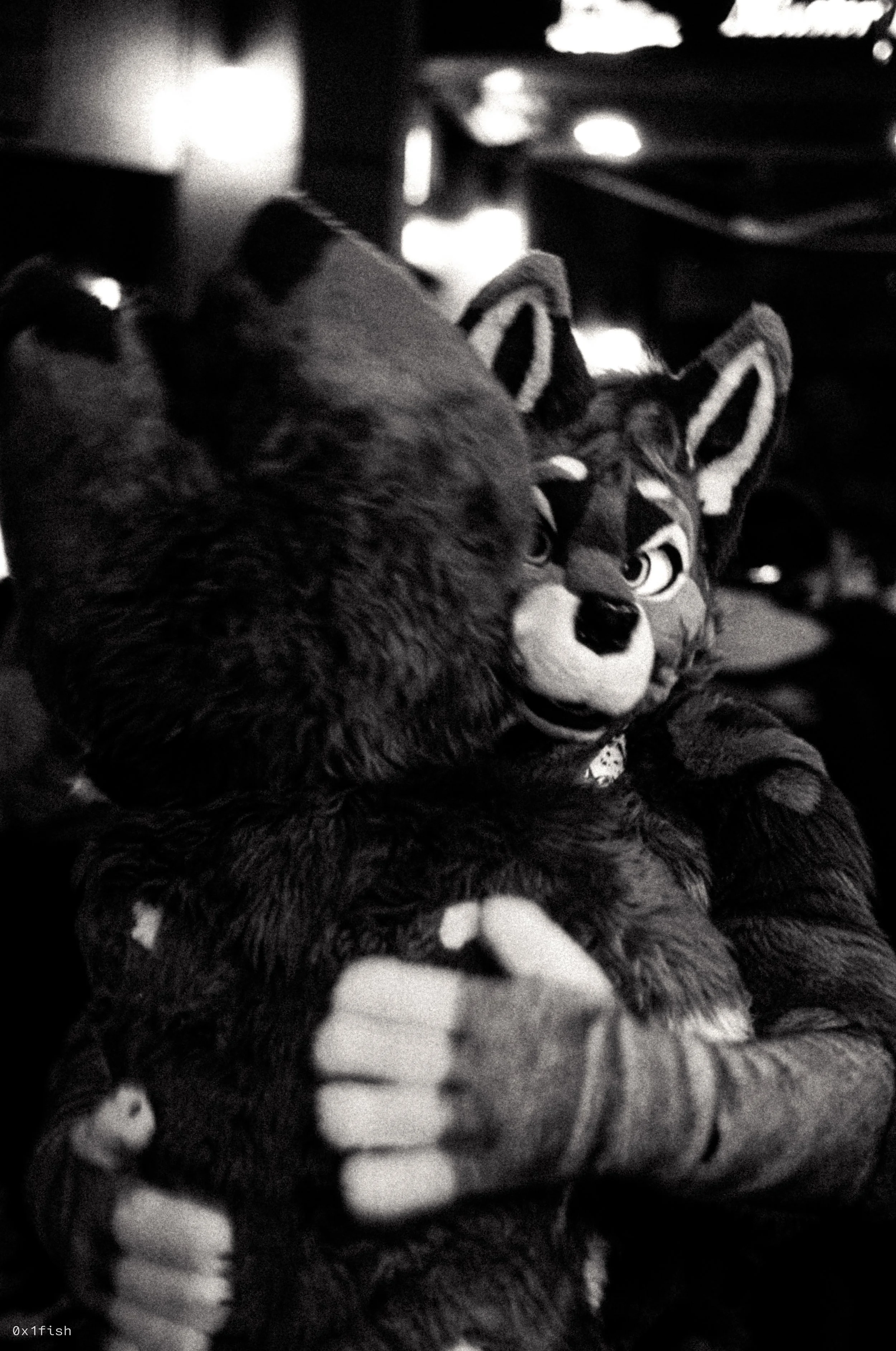 LFMWP25-FP4-2 (14 of 31).jpg