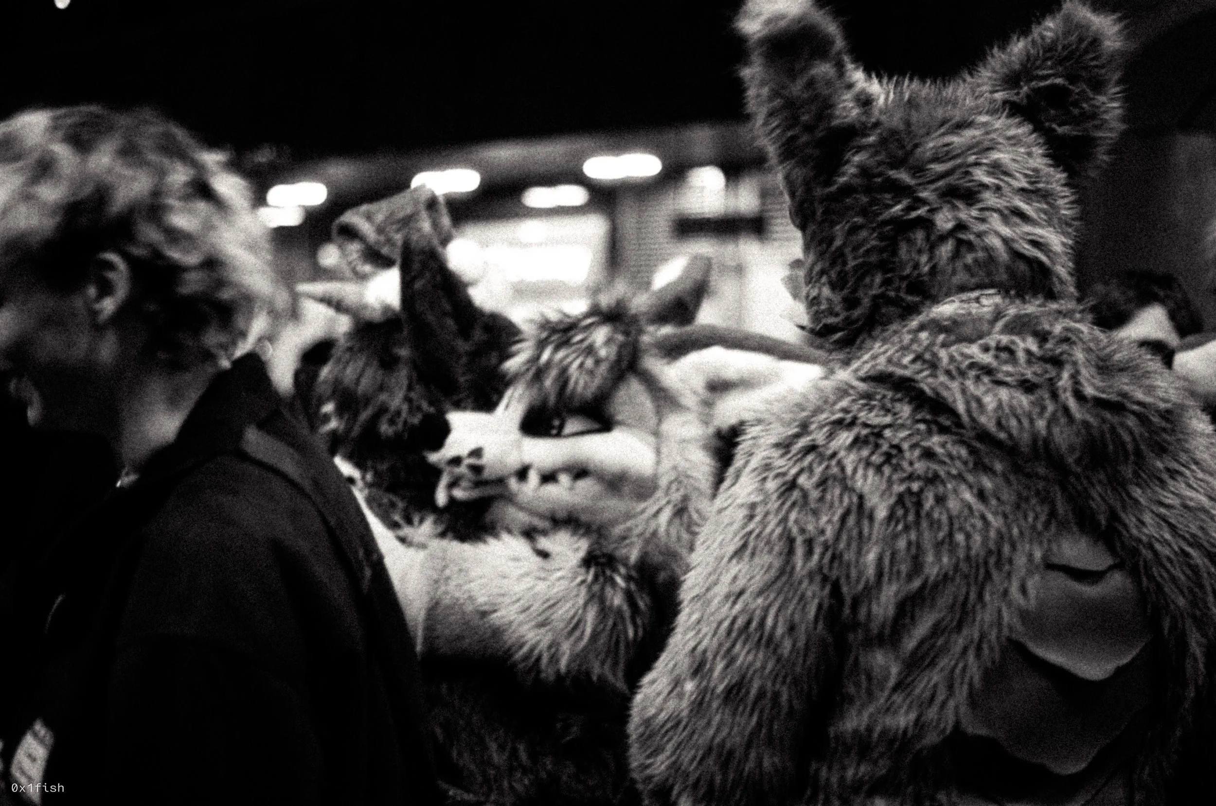 LFMWP25-FP4-2 (6 of 31).jpg