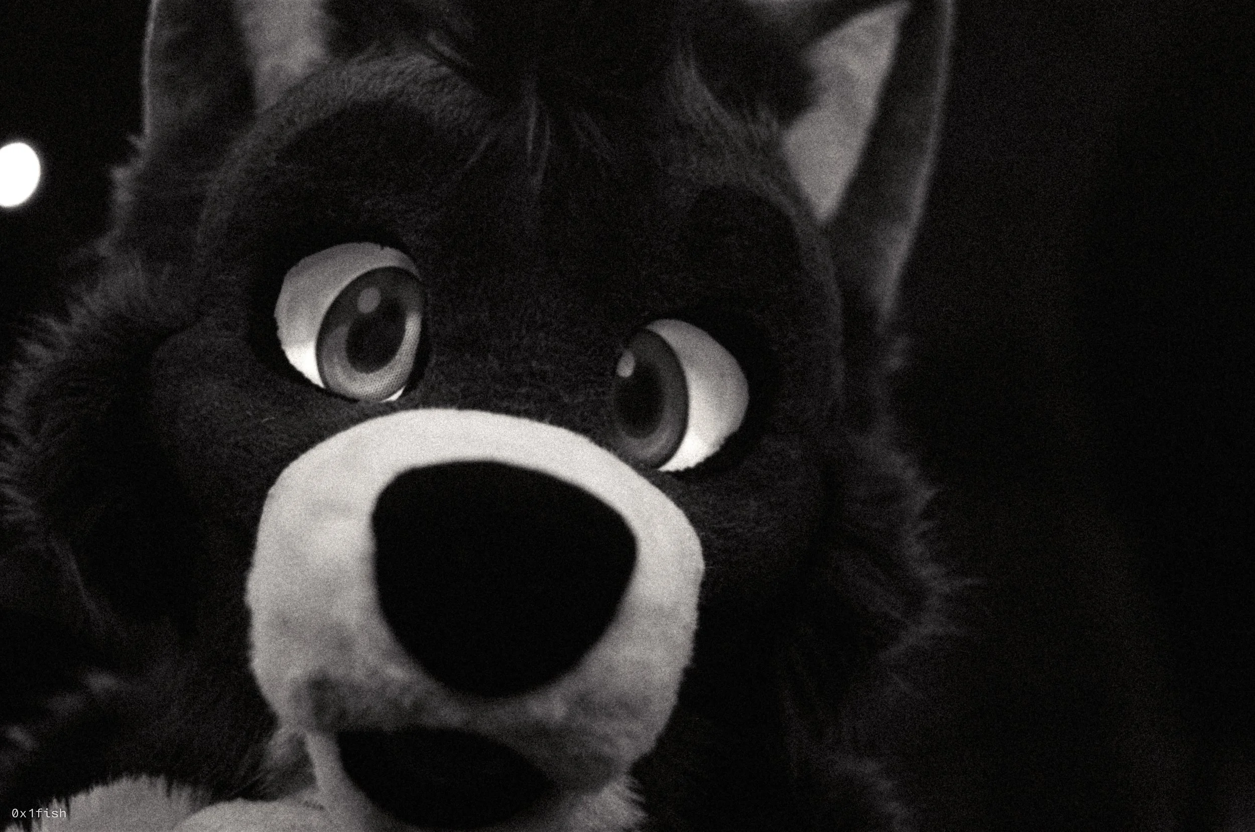 LFMWP25-FP4-2 (10 of 31).jpg