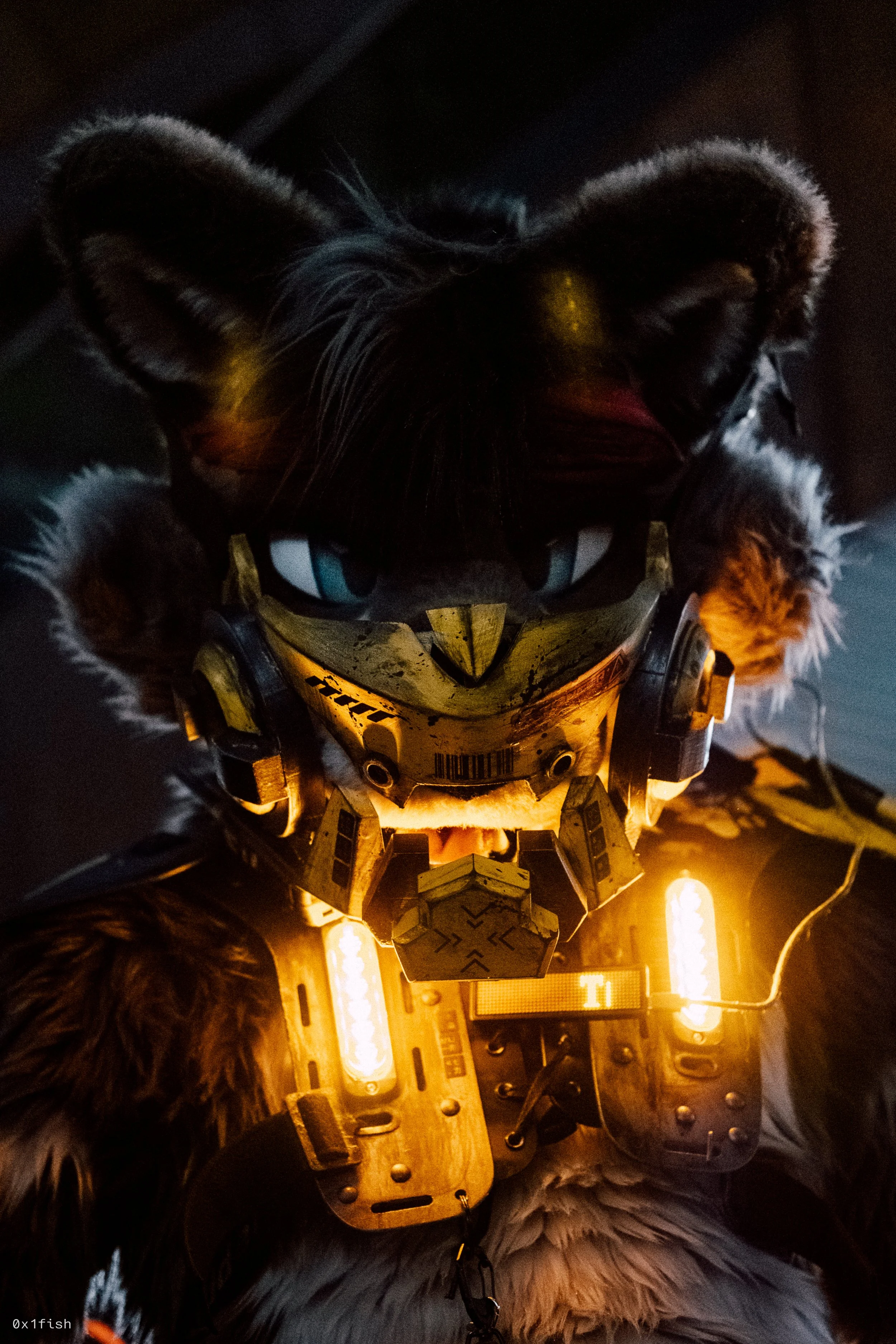 LFMWP25 (18 of 102).jpg