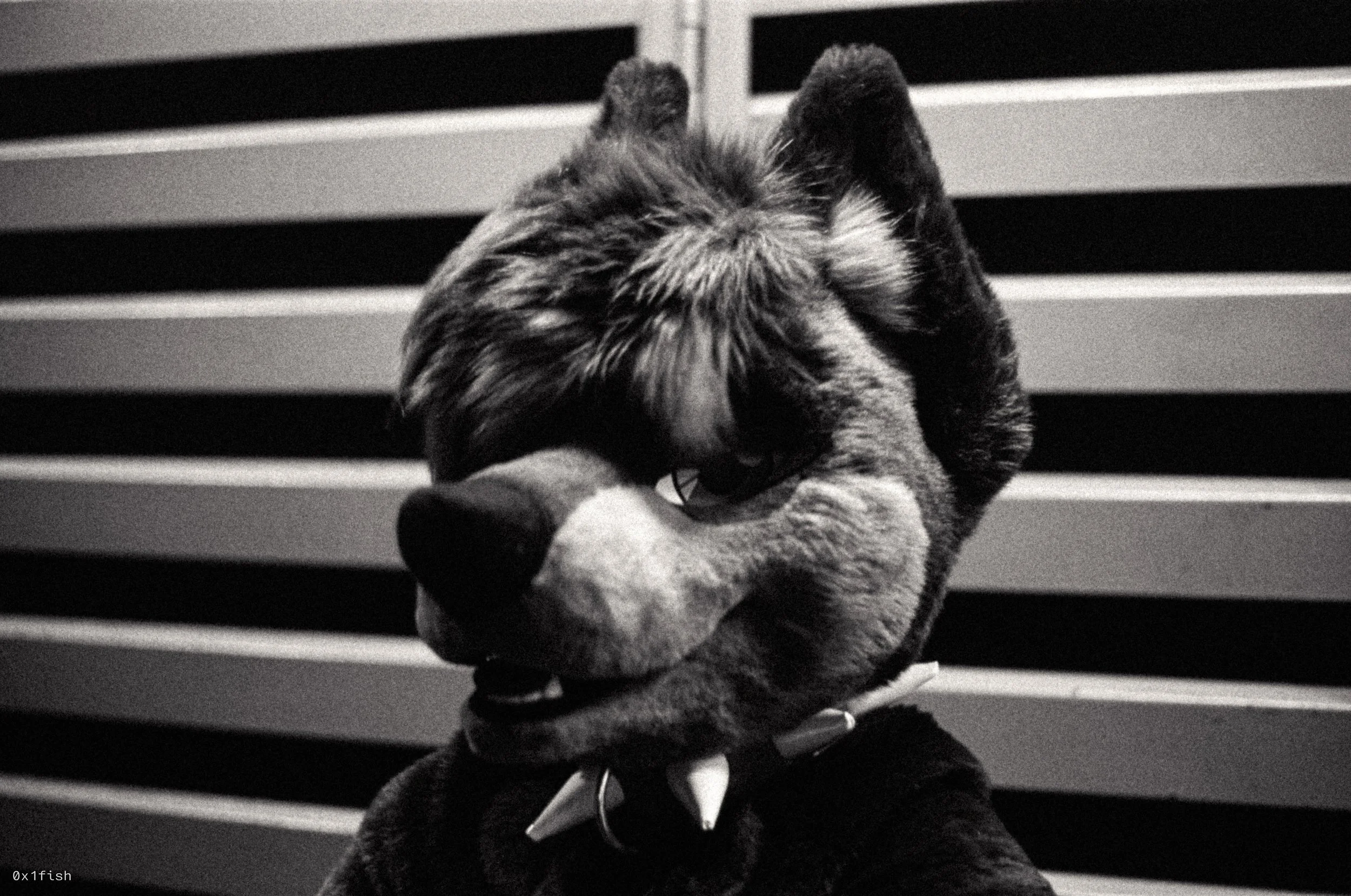 LFMWP25-FP4-2 (22 of 31).jpg