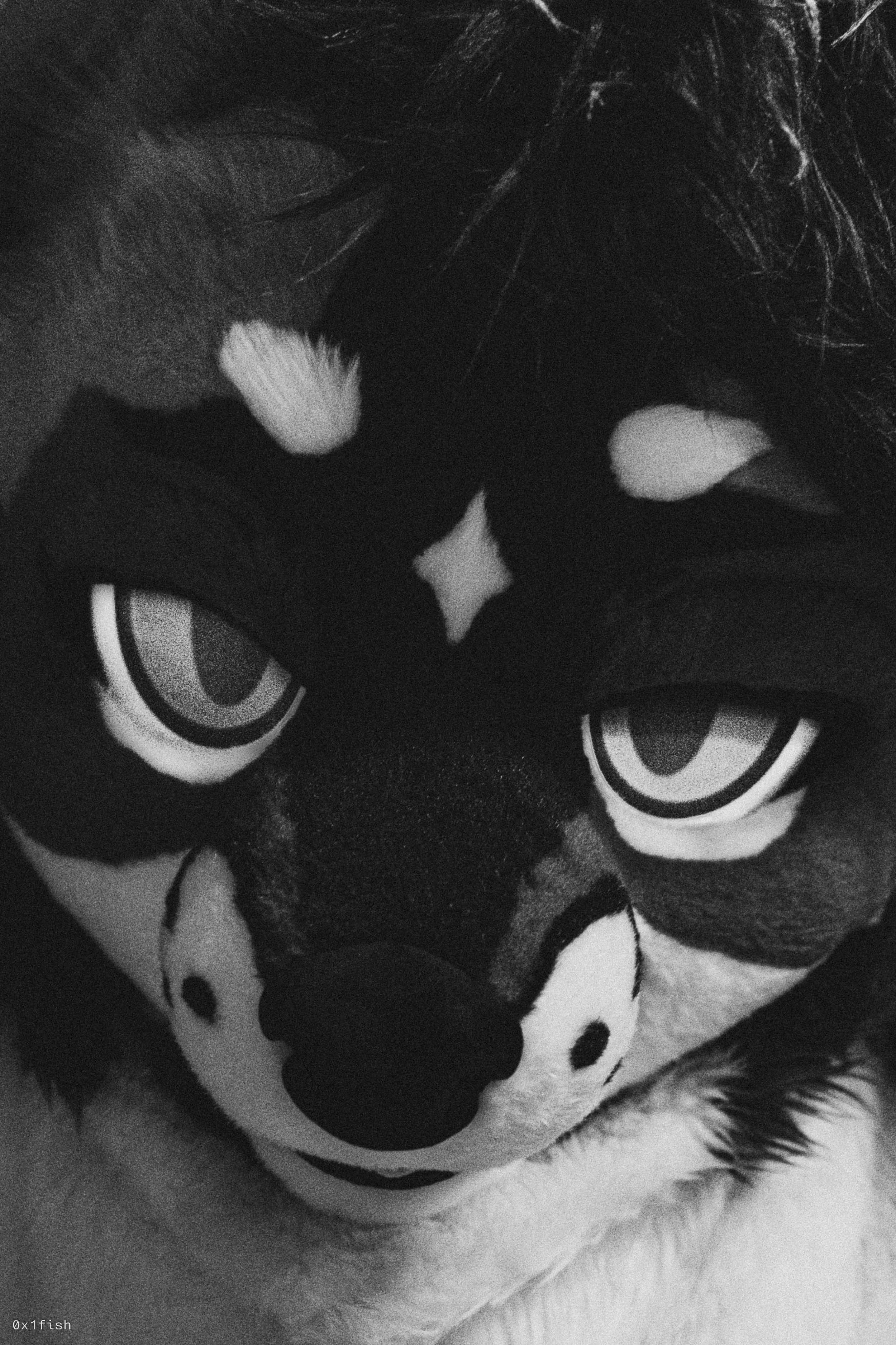 LFMWP25 (52 of 102).jpg