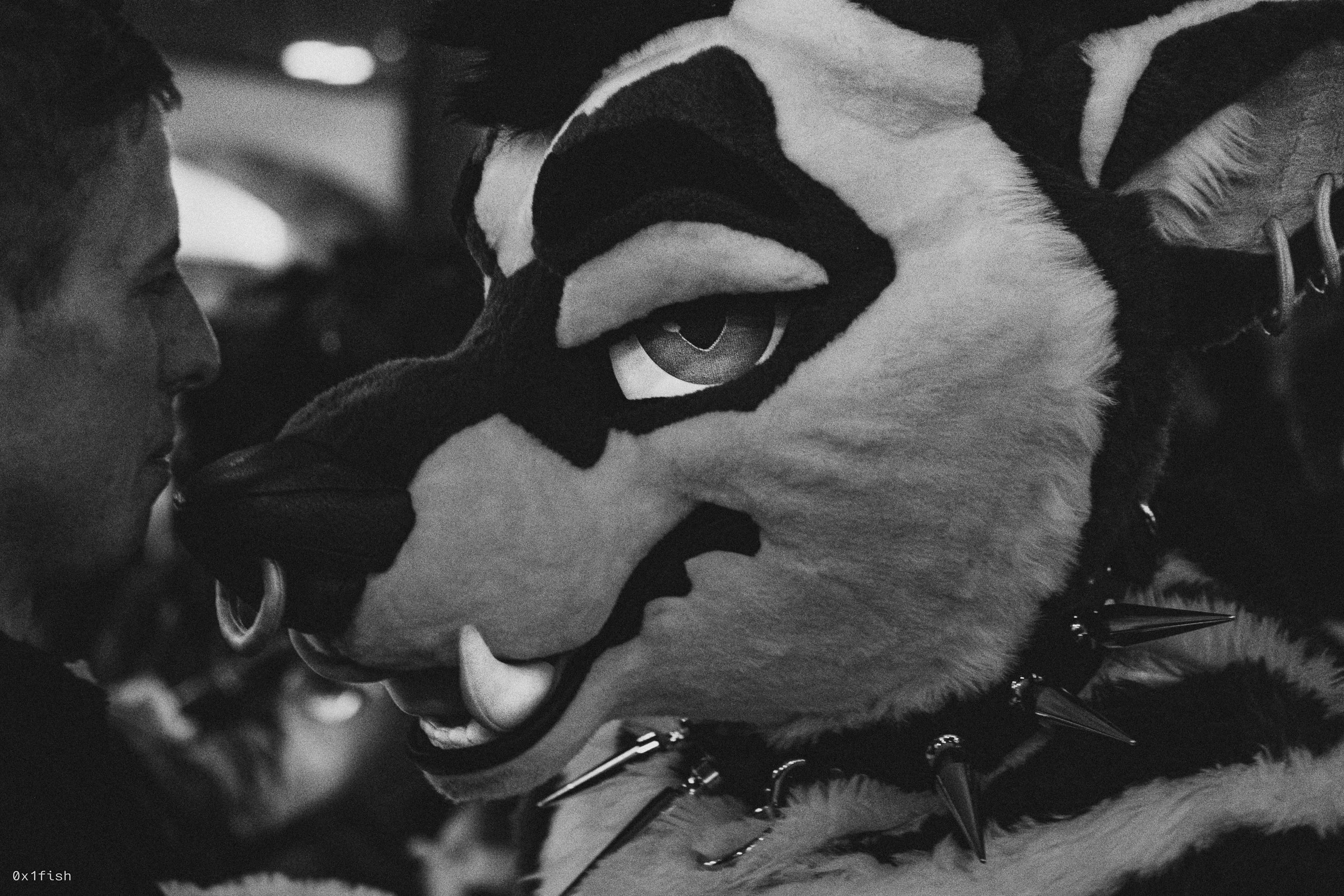 LFMWP25 (32 of 102).jpg