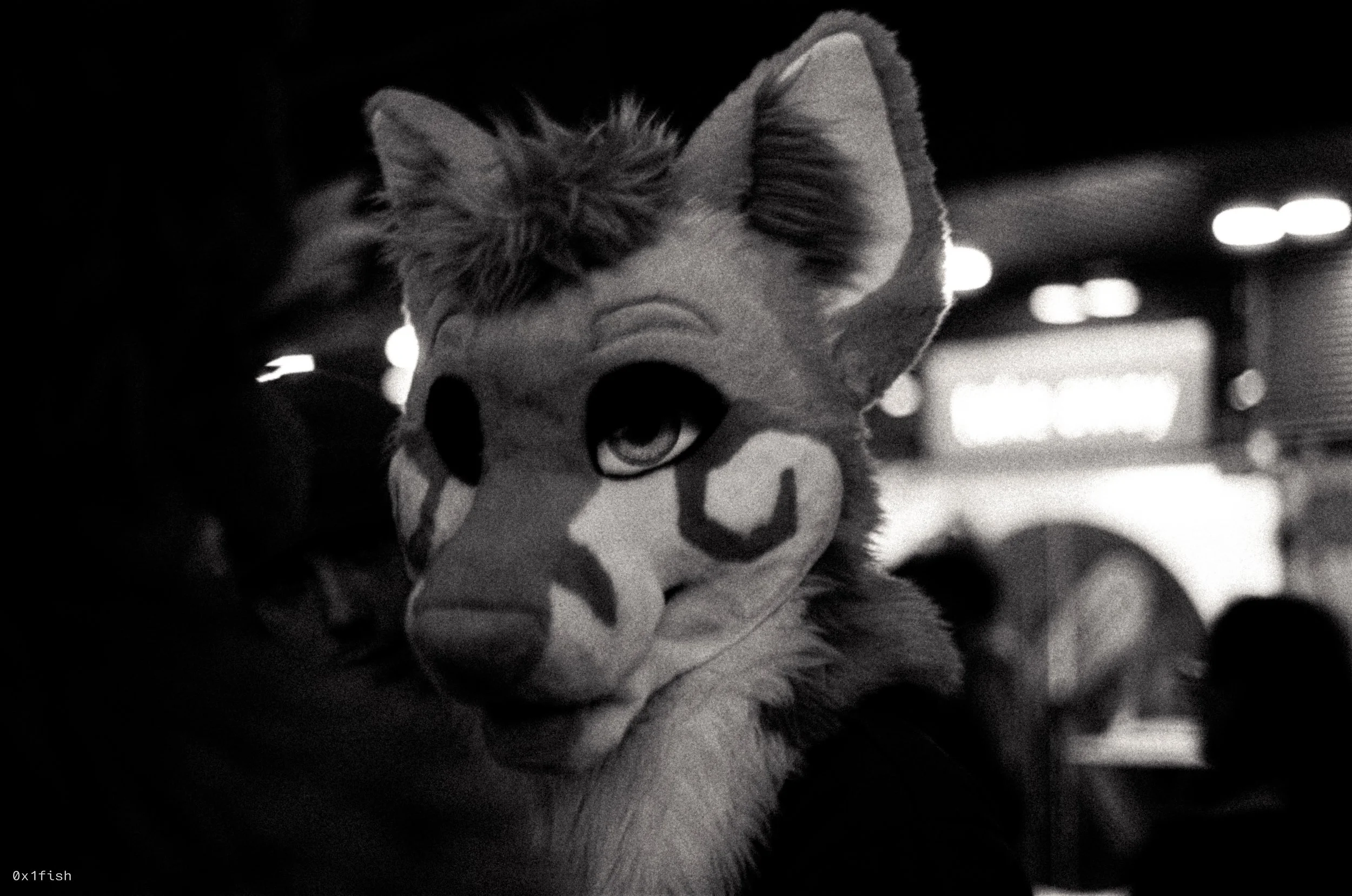 LFMWP25-FP4-2 (15 of 31).jpg