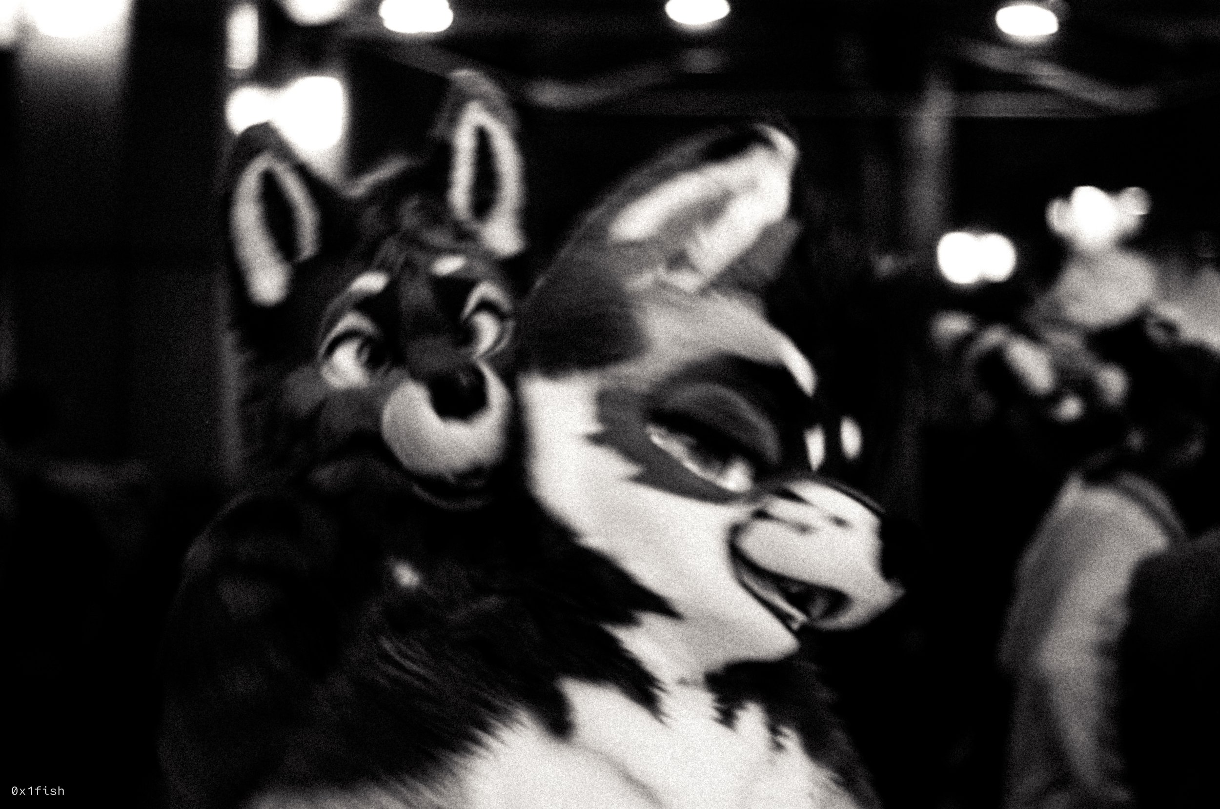 LFMWP25-FP4-2 (13 of 31).jpg