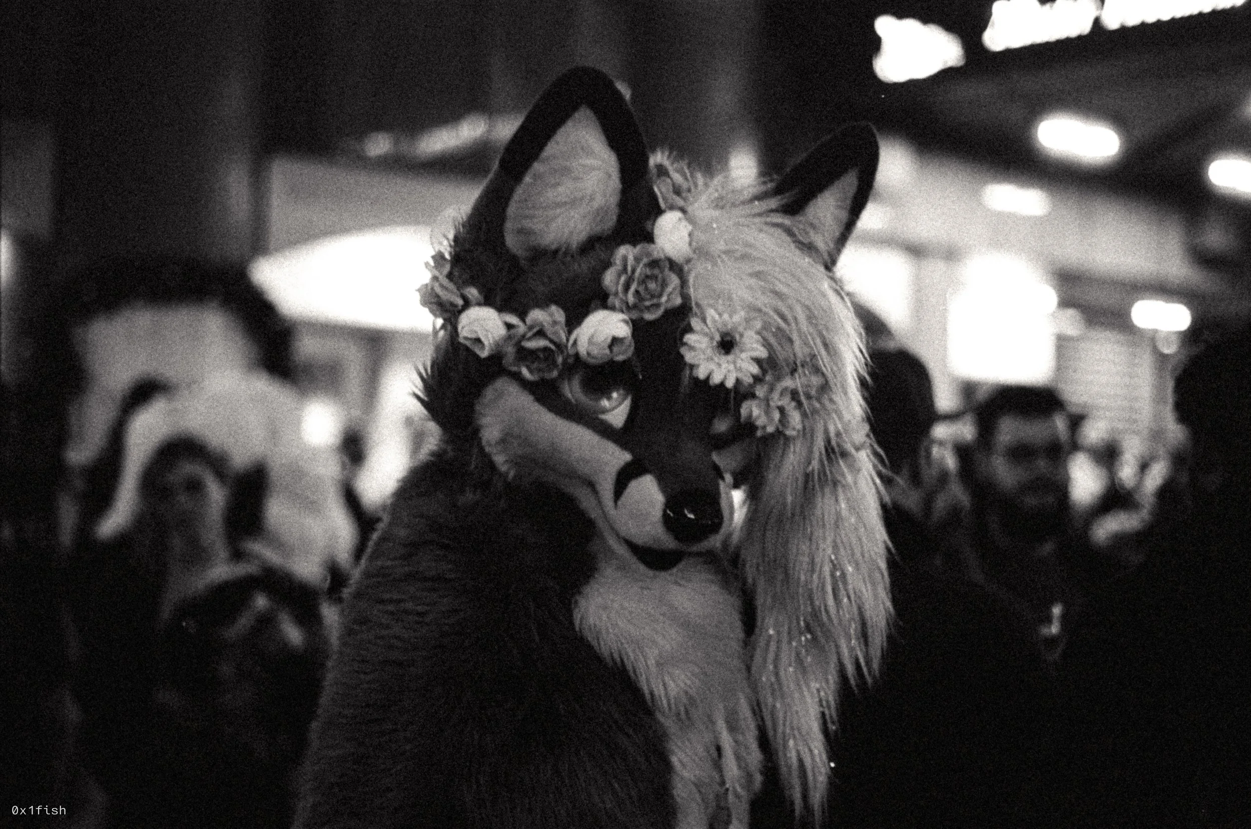 LFMWP25-FP4-2 (8 of 31).jpg