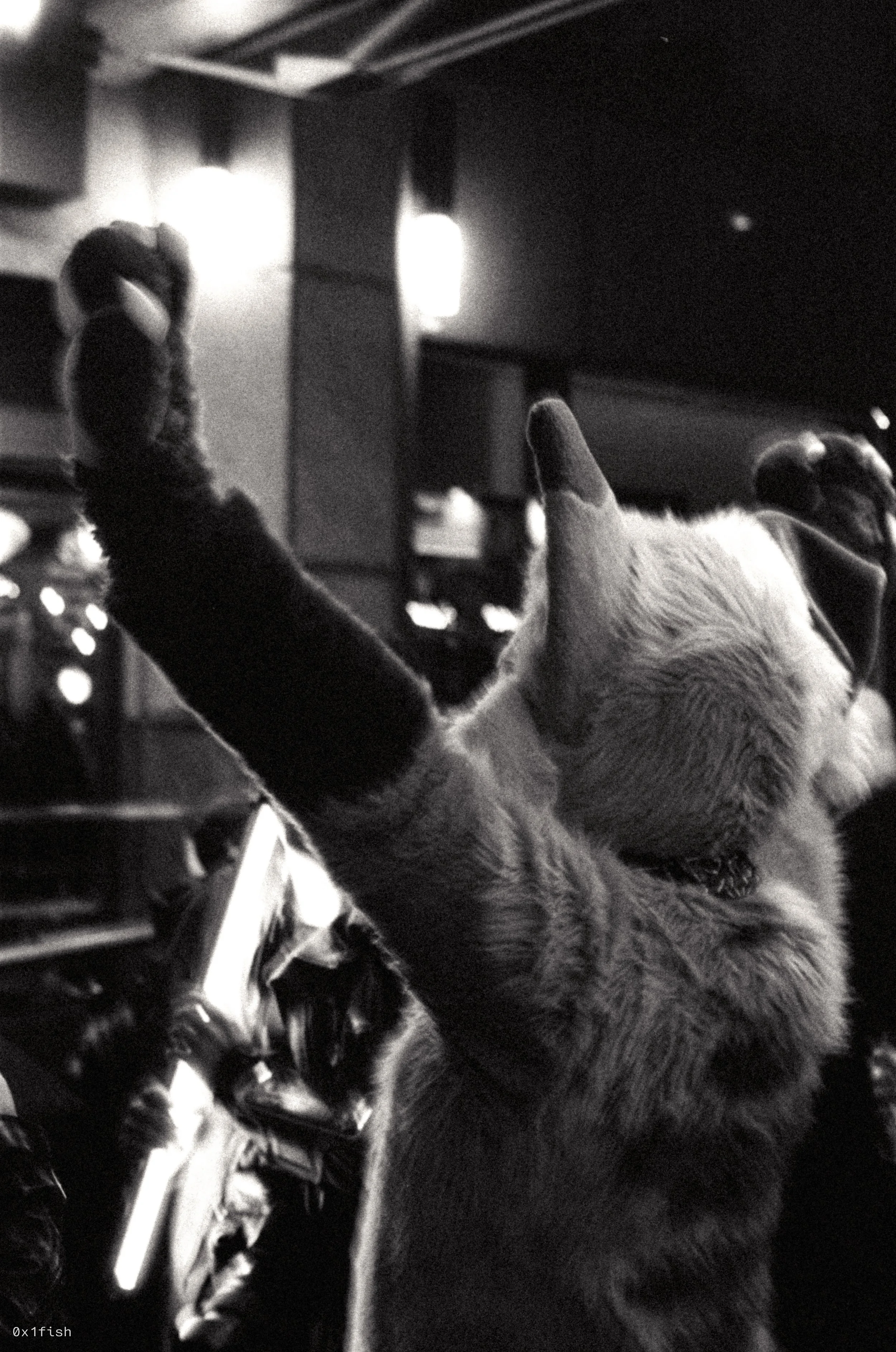 LFMWP25-FP4-2 (2 of 31).jpg