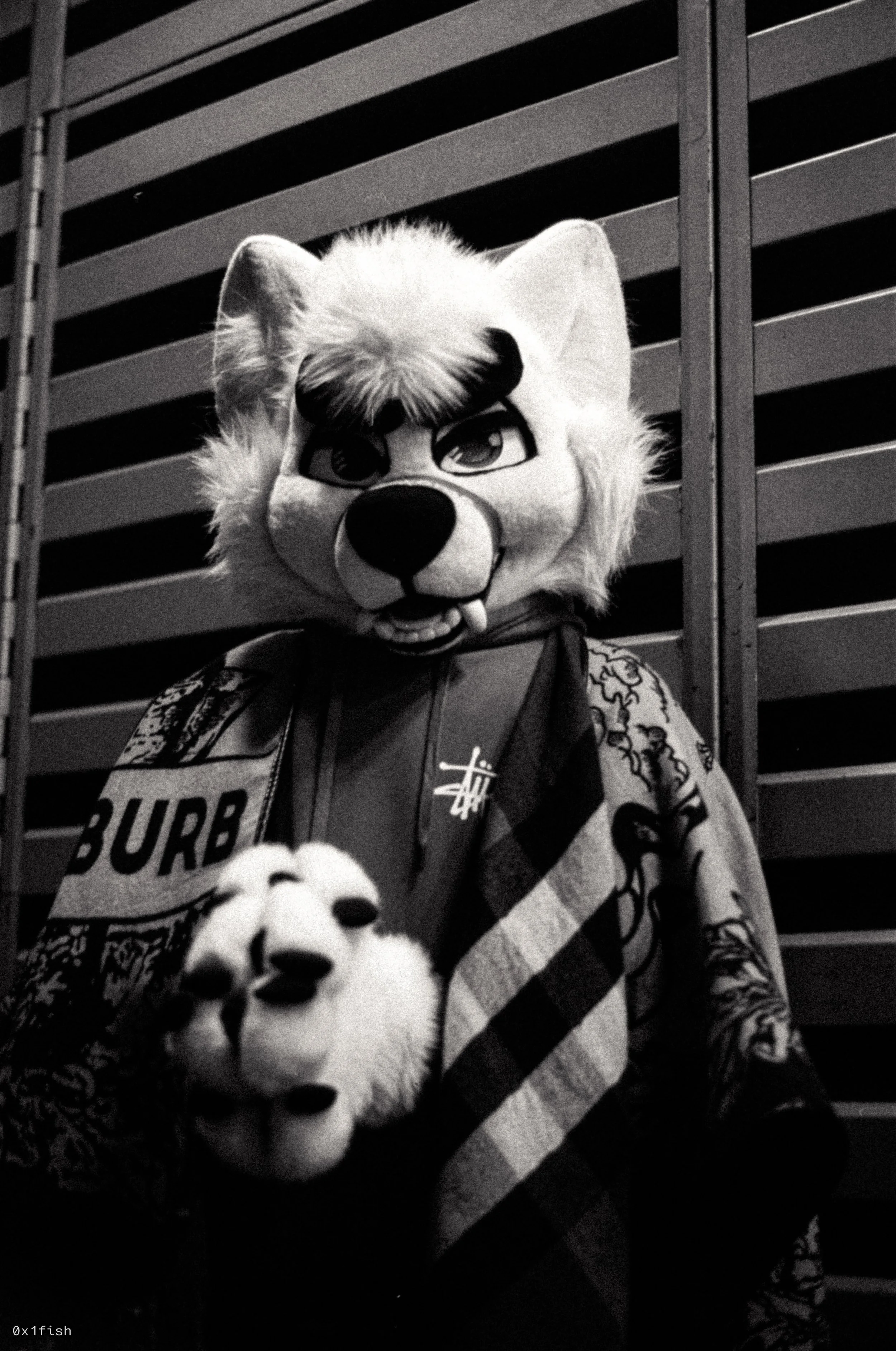 LFMWP25-FP4-1 (4 of 35).jpg