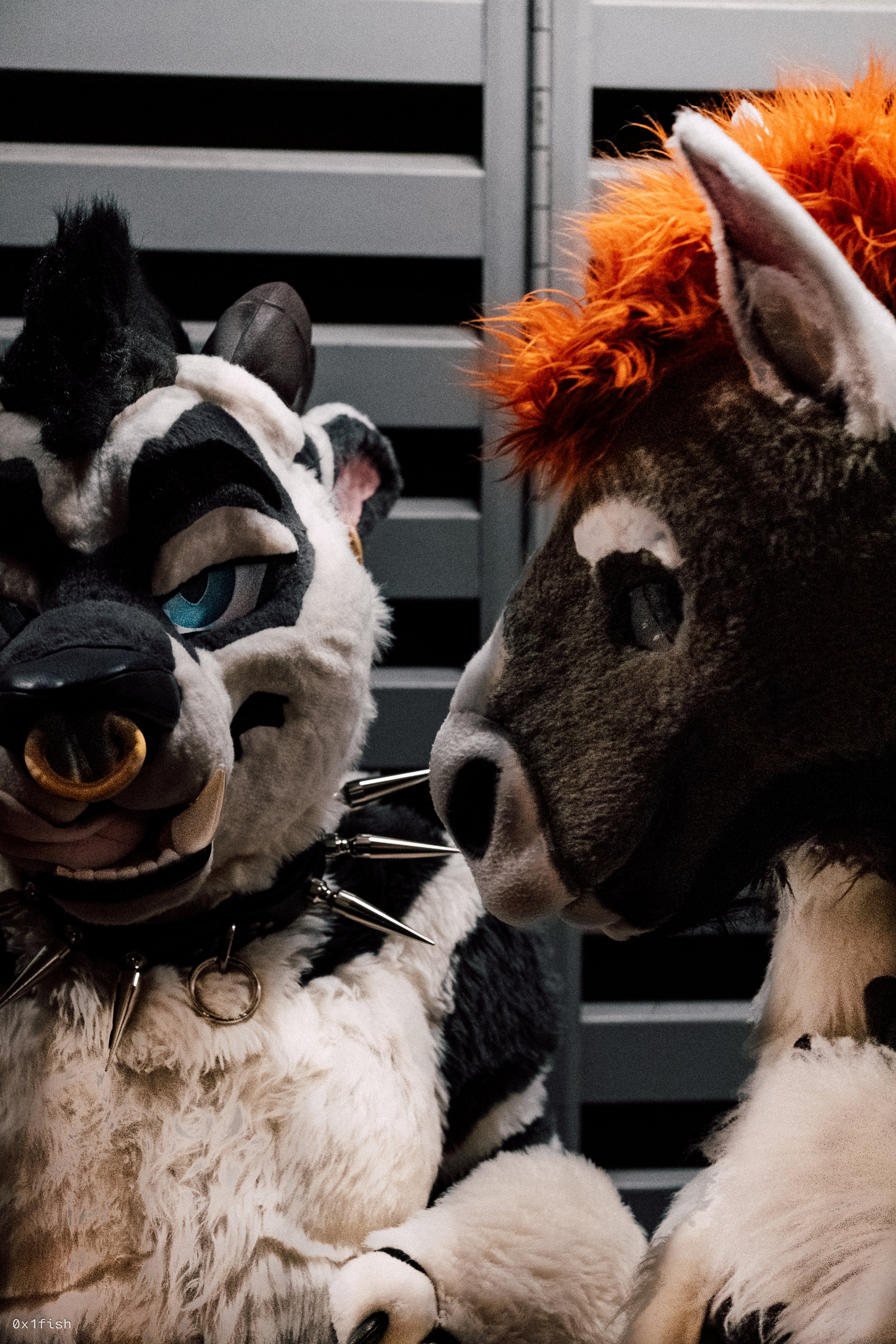 LFMWP25 (35 of 102).jpg