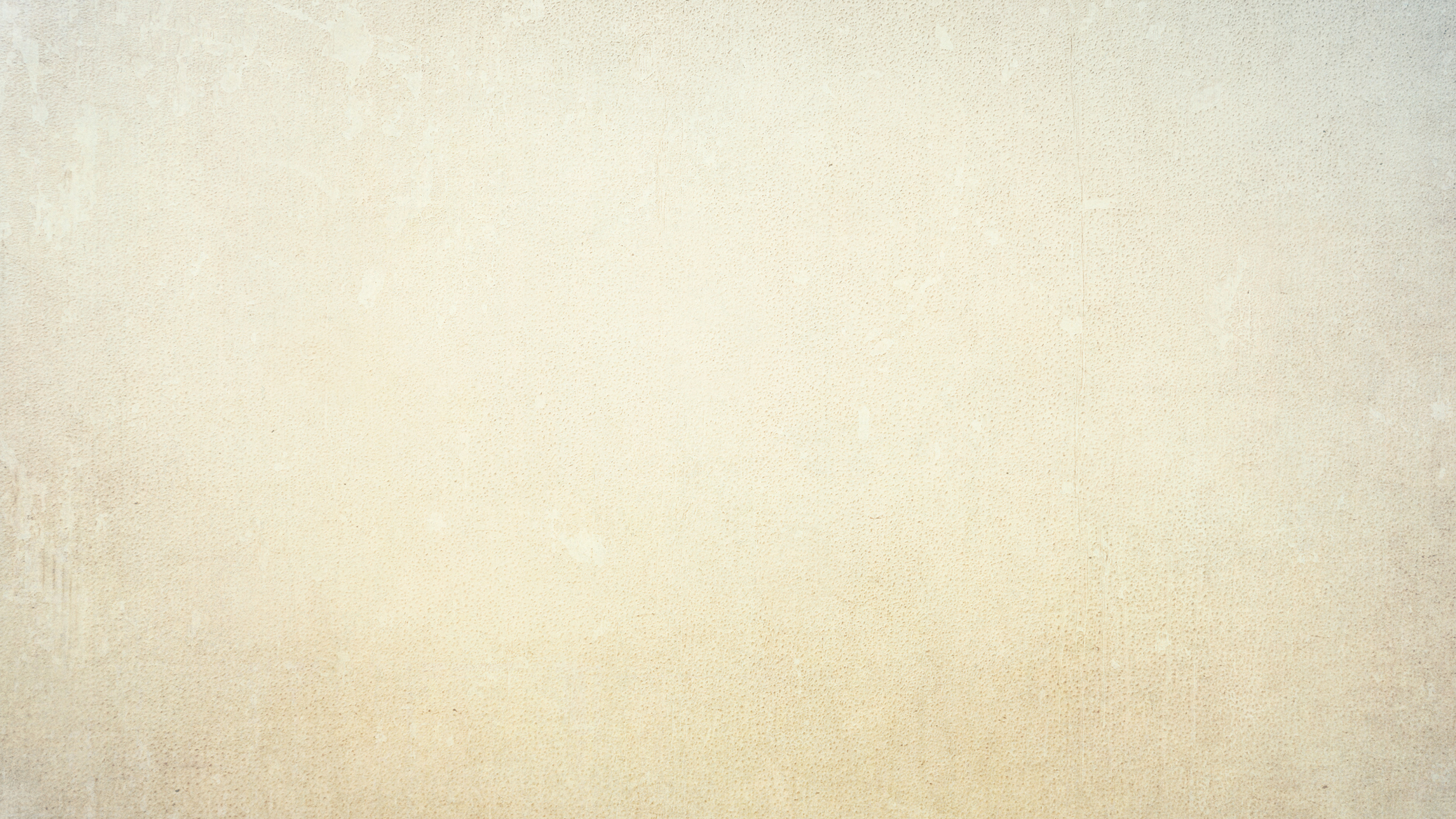 Blank beige textured wall.