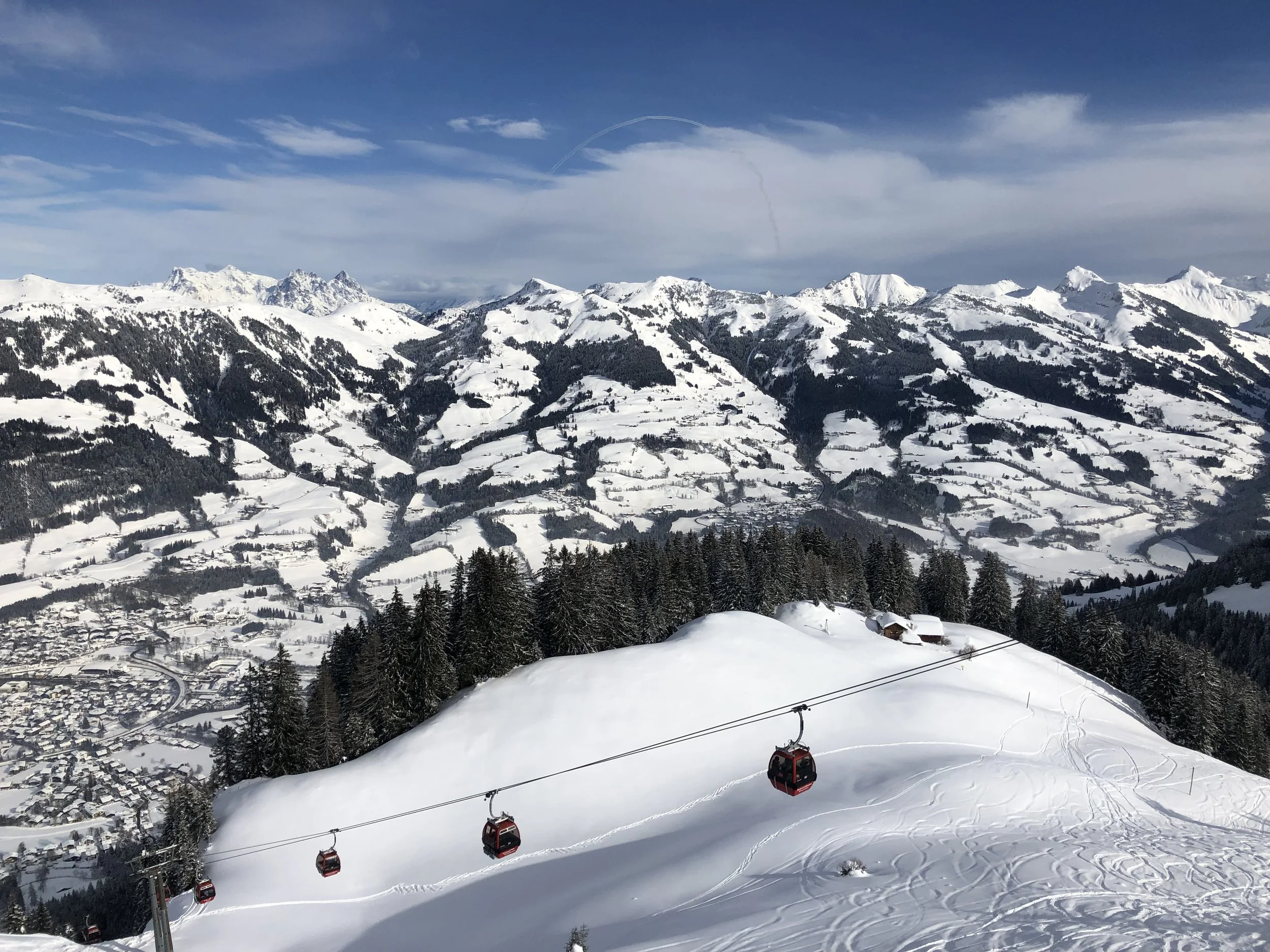 Snow-covered trees in a mountainous landscape with snow-capped peaks and cloudy skies.