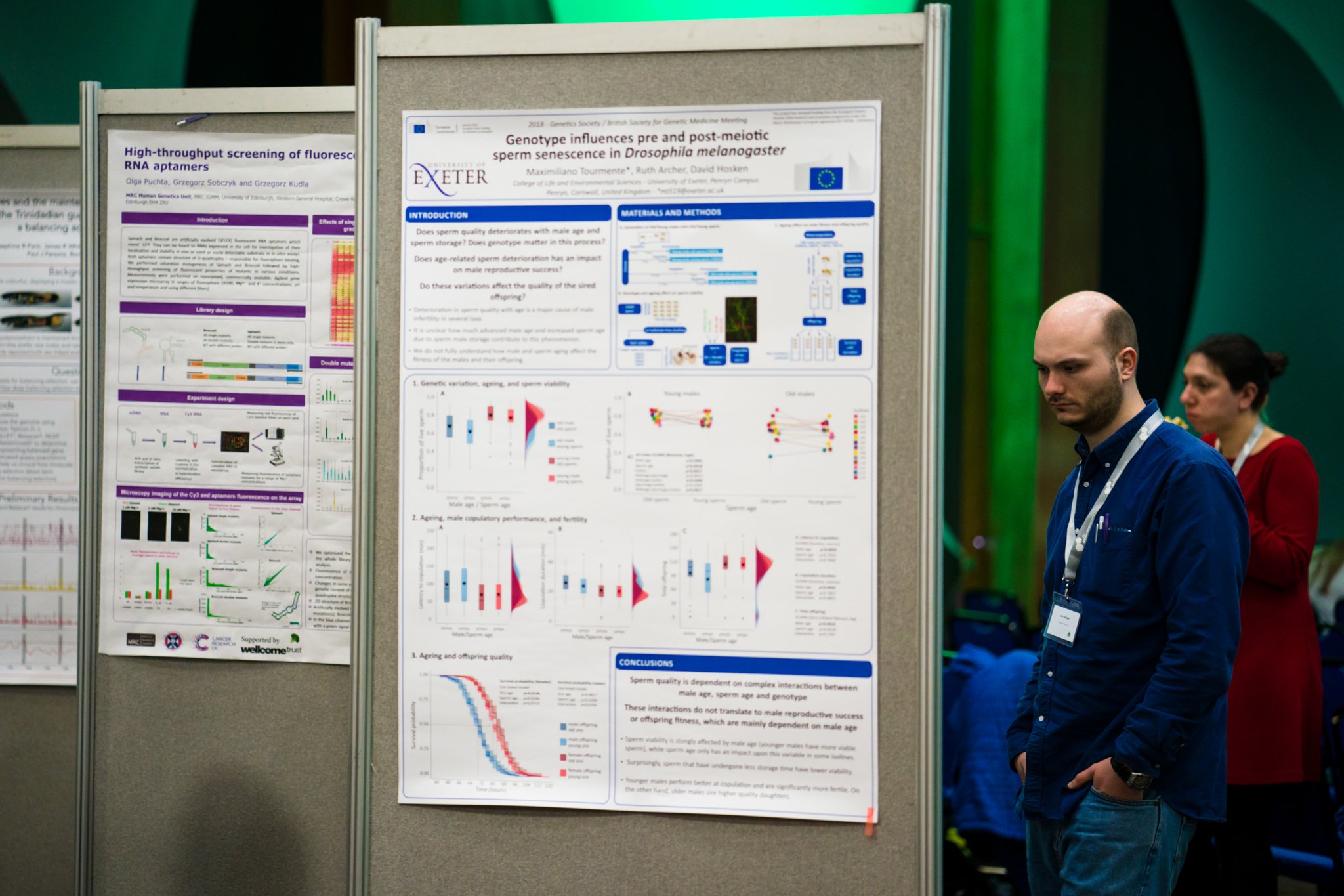 A man in a blue shirt looking at a scientific research poster board at a conference, with a woman in a red top in the background also viewing poster boards.
