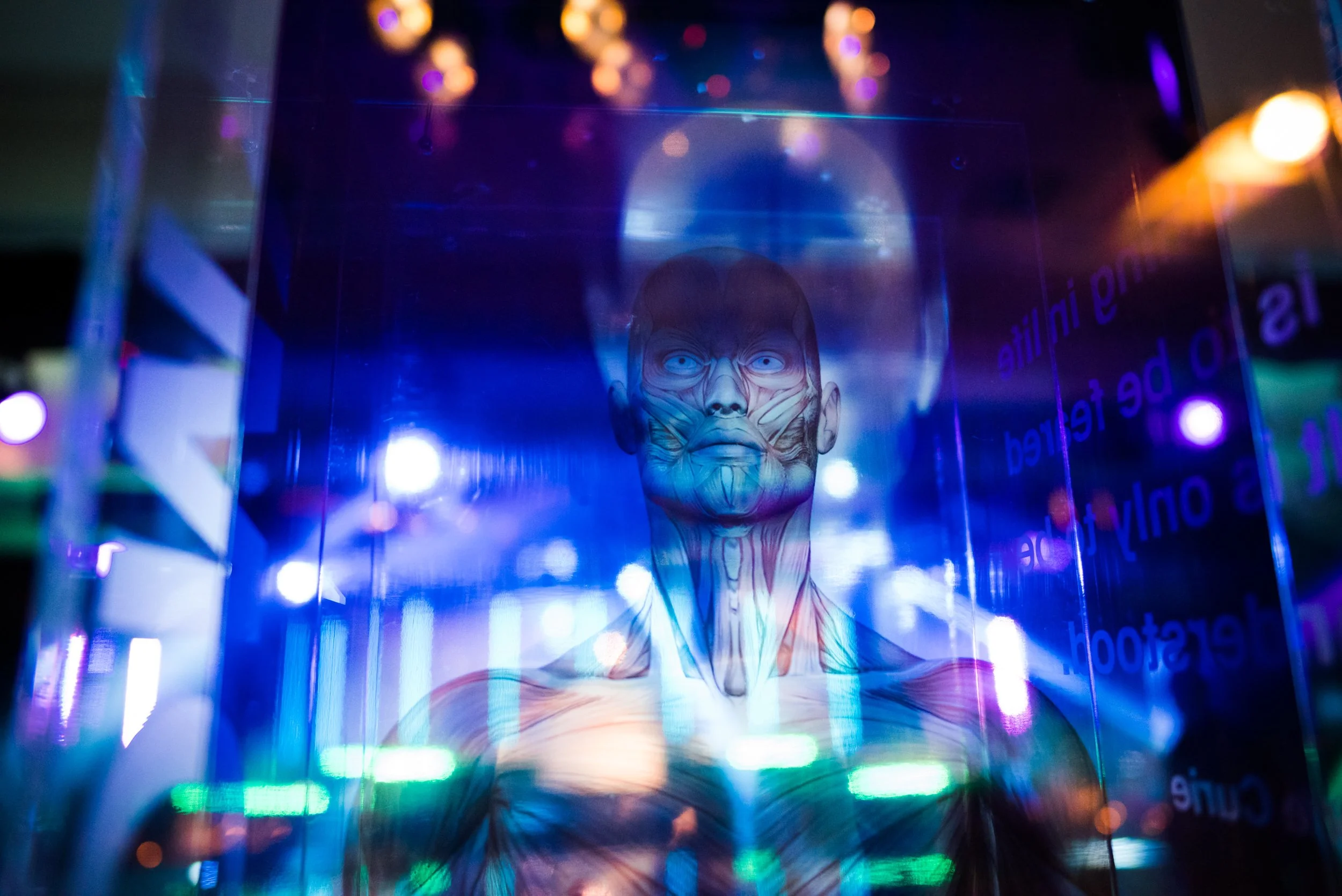 An anatomical illustration of a human upper body and face is displayed inside a glass case, illuminated by multicolored lights with reflections and text in the background.