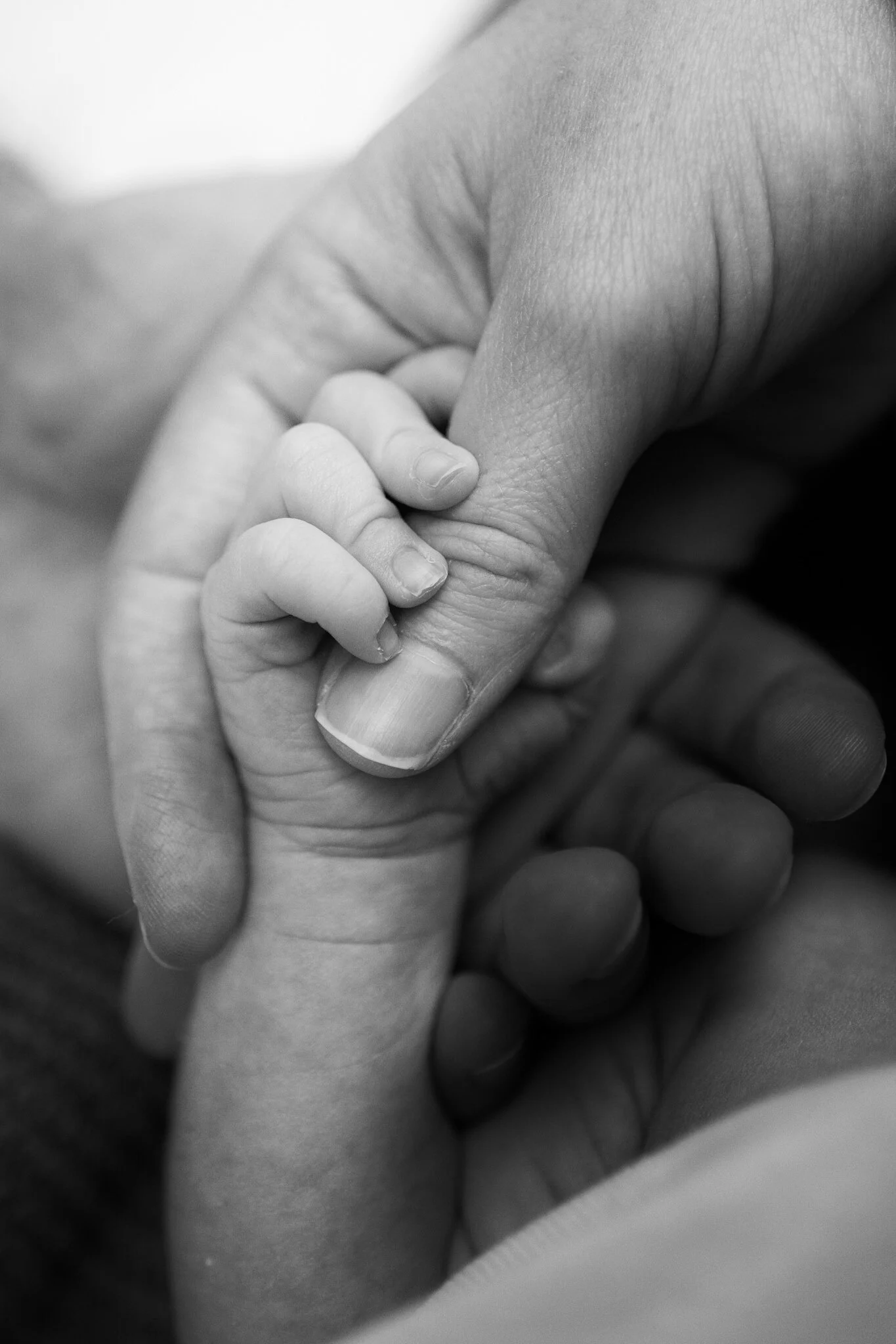 best Newborn baby photographer