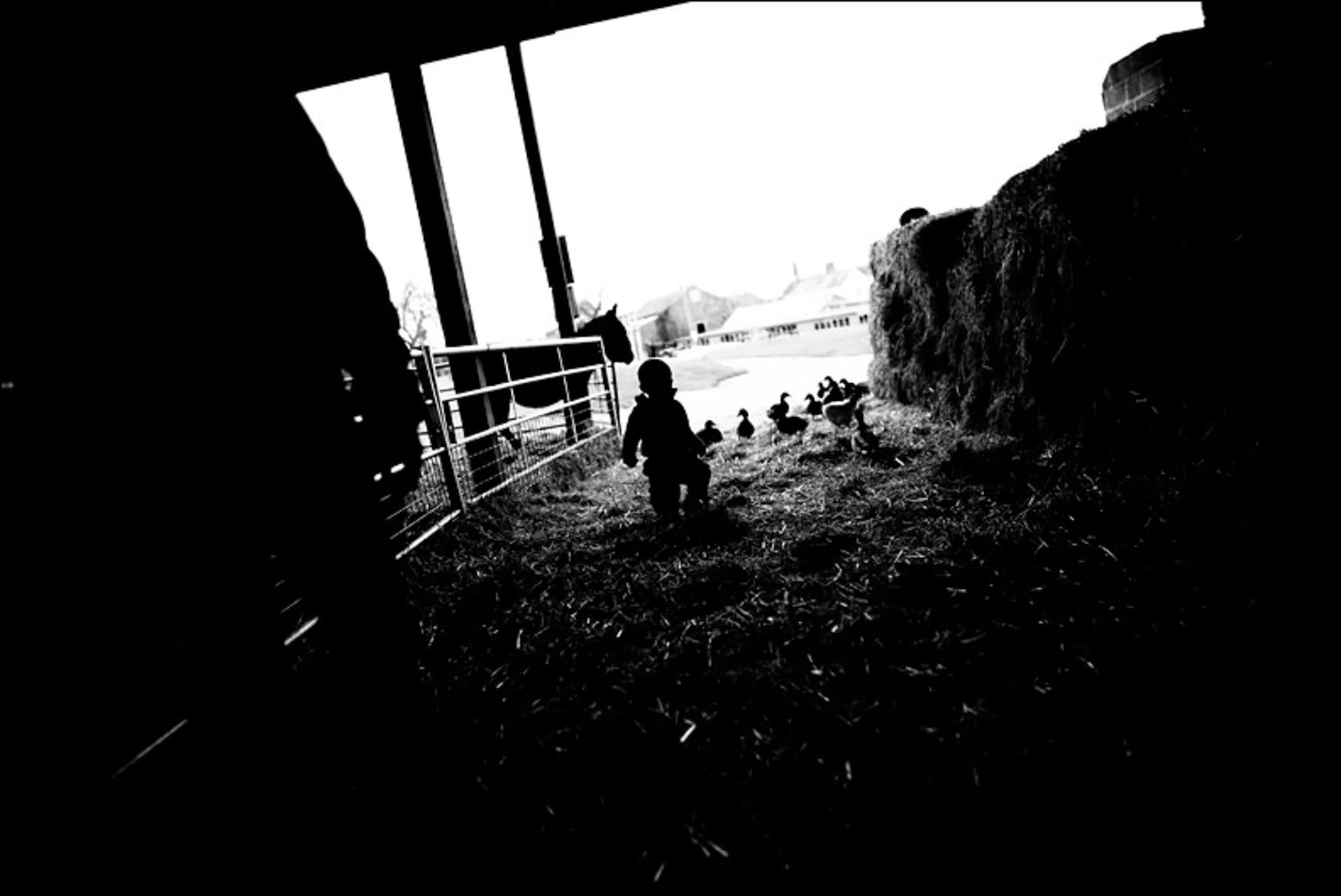 Family day in the Life photography