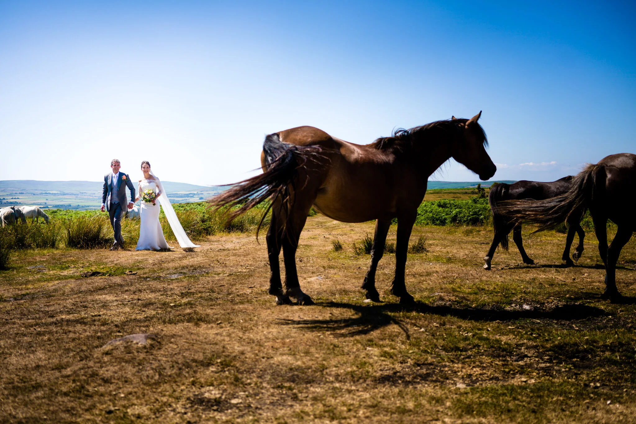 fairy-hill-gower-wedding-photographer00036.jpg