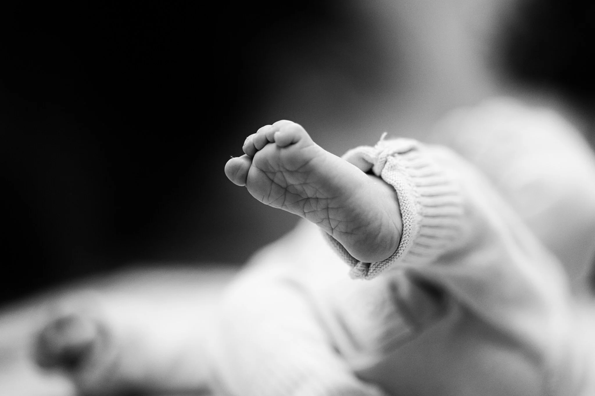 Newborn baby photographs.