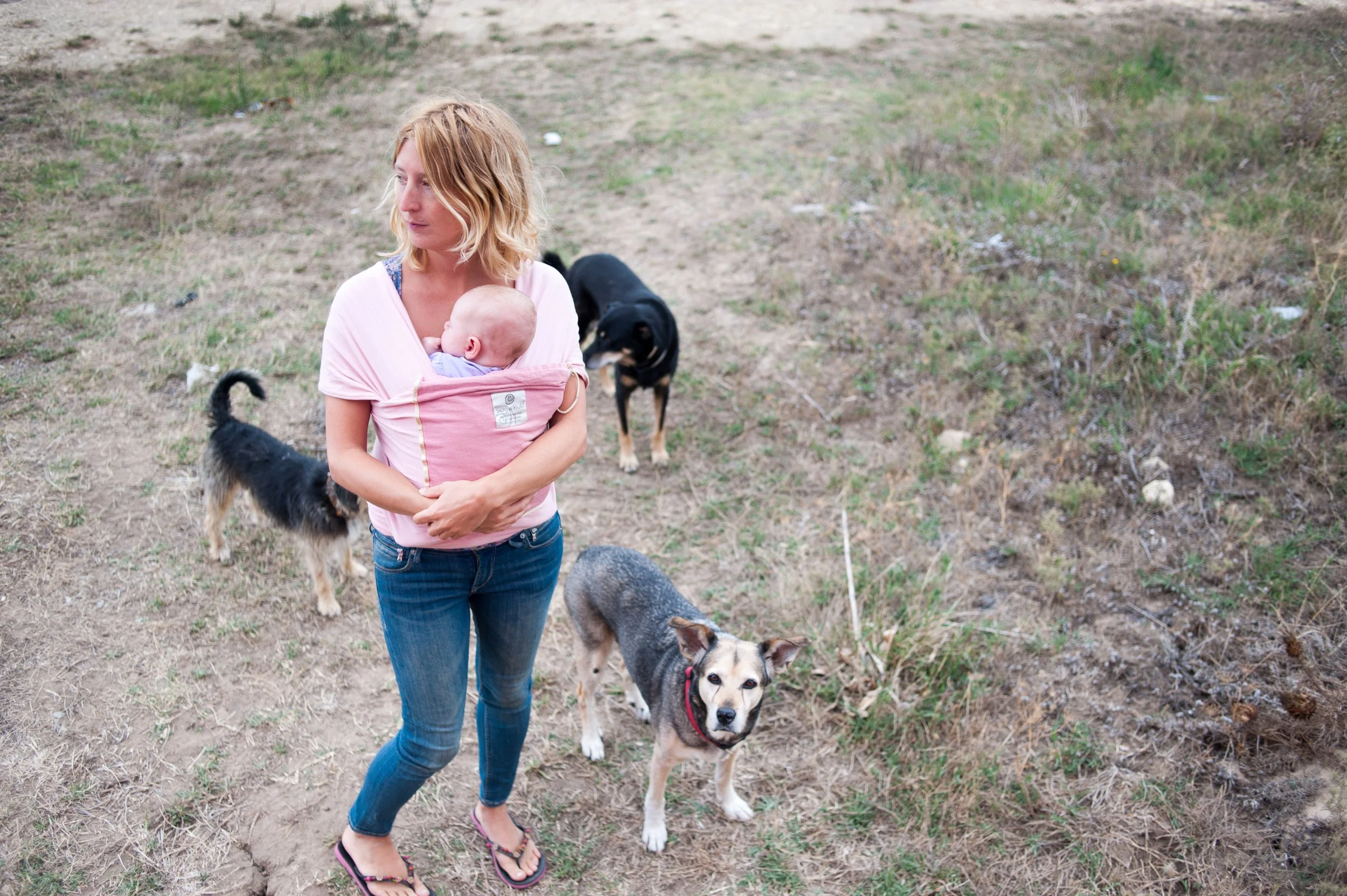 Woman carrying a baby in a pink sling outdoors, with three dogs around her on a grassy area