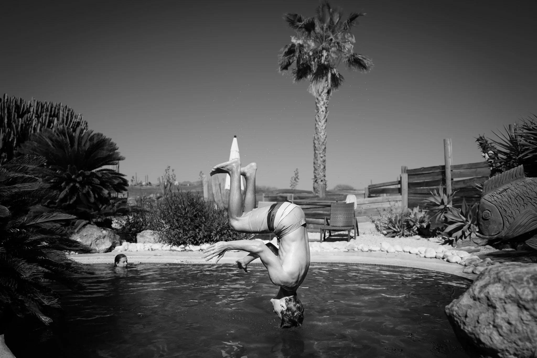 A person mid-backflip diving into a swimming pool, with palm trees and a fence in the background.