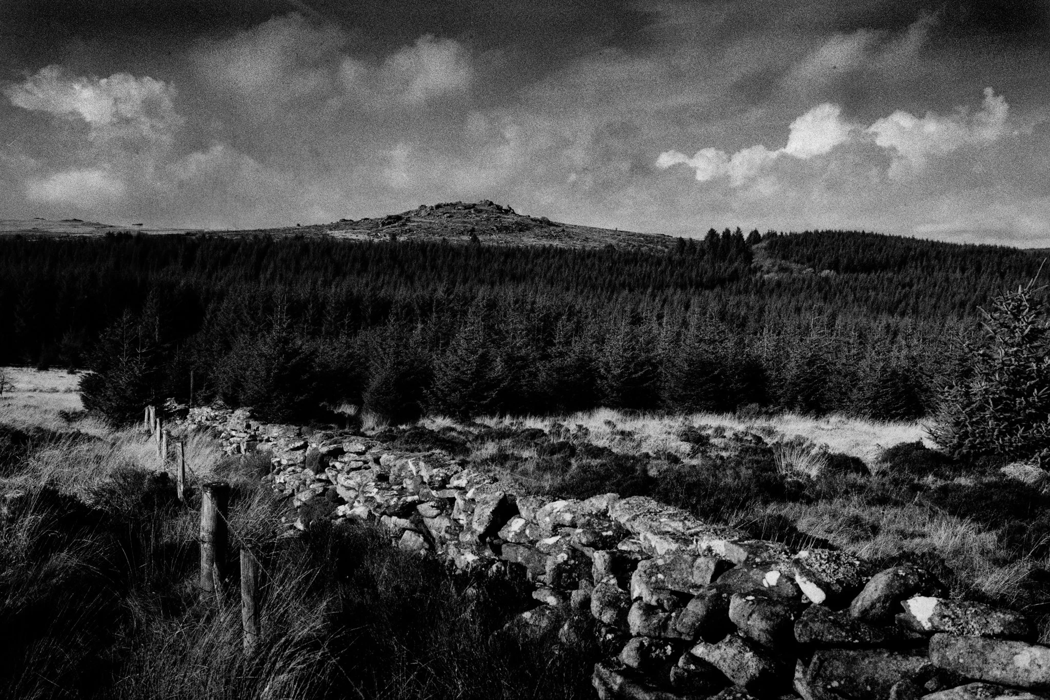 A black and white landscape of rolling hills covered with trees and grass, with a stone wall in the foreground and a cloudy sky above.