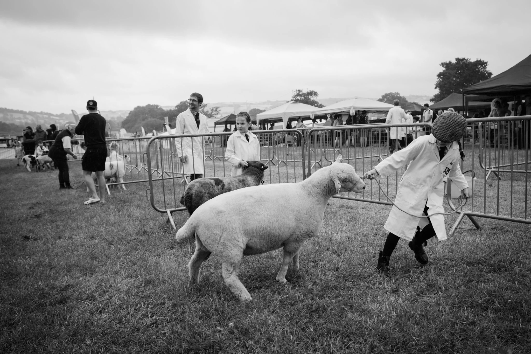 A black and white photo of a sheep-being judged at an outdoor livestock show with children and adults observing, some wearing coats and tents in the background.