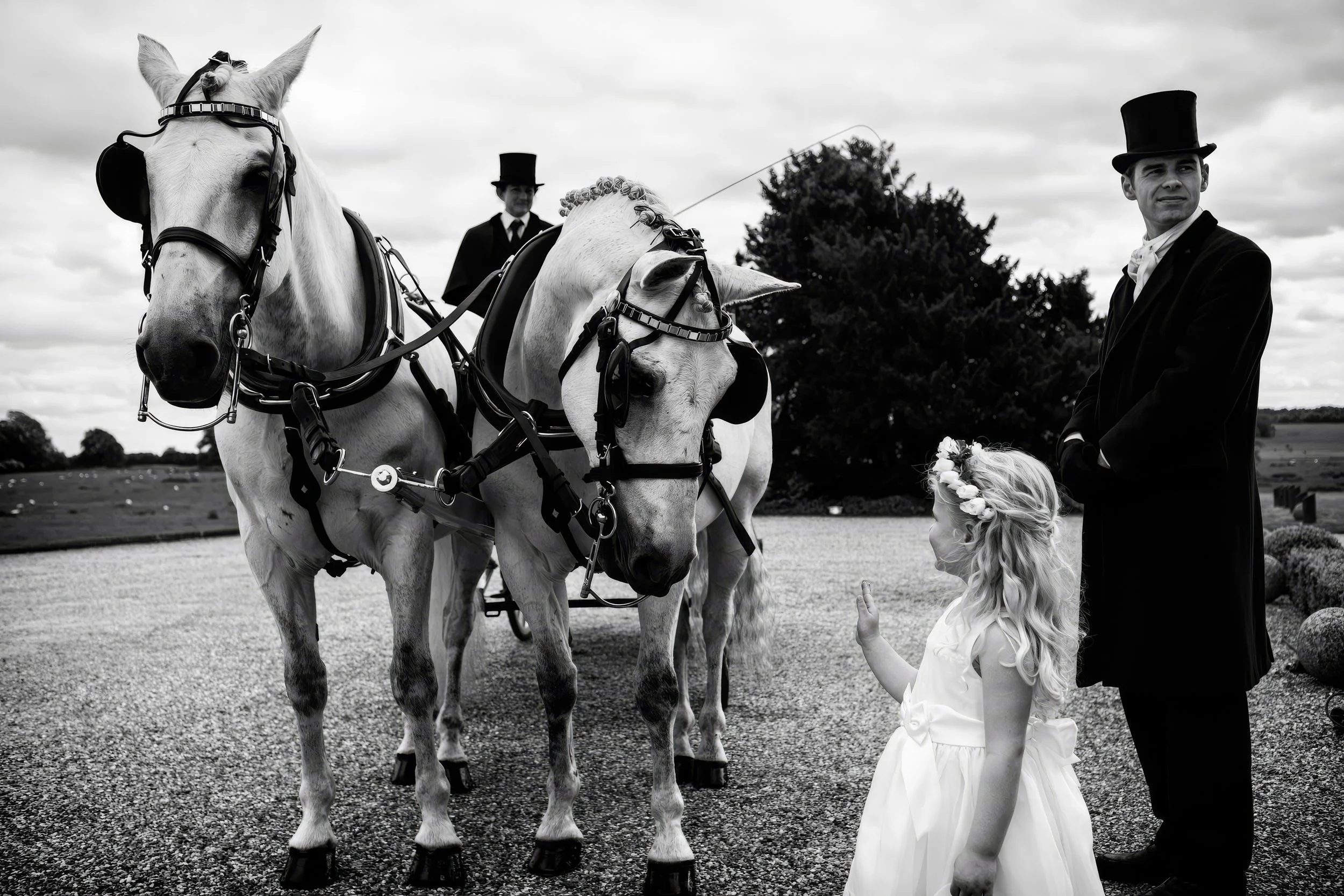 A black and white photo of a young girl in a white dress with a floral headband talking to two white horses with harnesses, while two men in formal attire and top hats stand nearby outdoors on a gravel path with trees and a cloudy sky in the backgrou