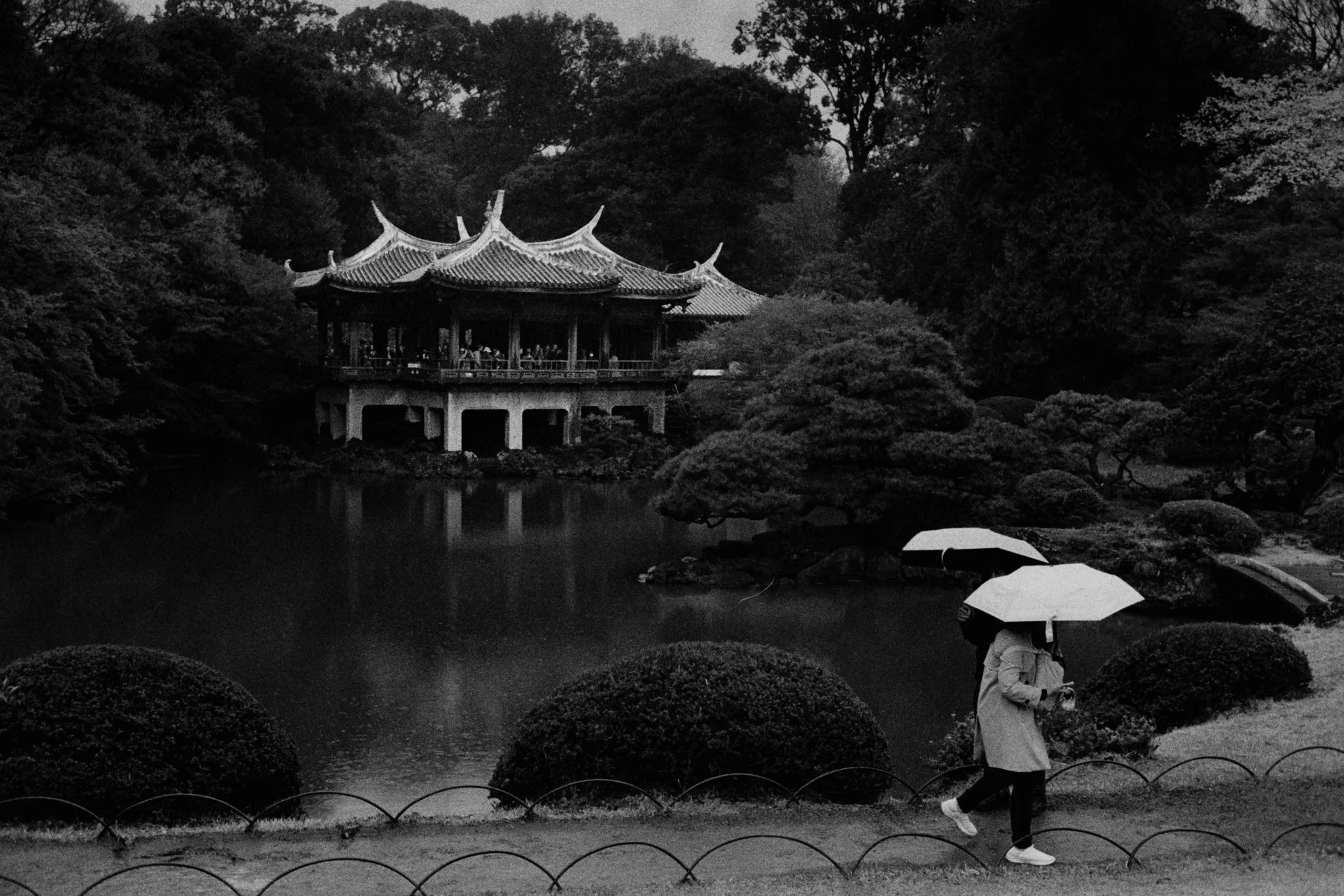 A person walking with an umbrella in a traditional Japanese garden with a pond, shrubbery, and a pagoda-style pavilion in the background, on a rainy day.