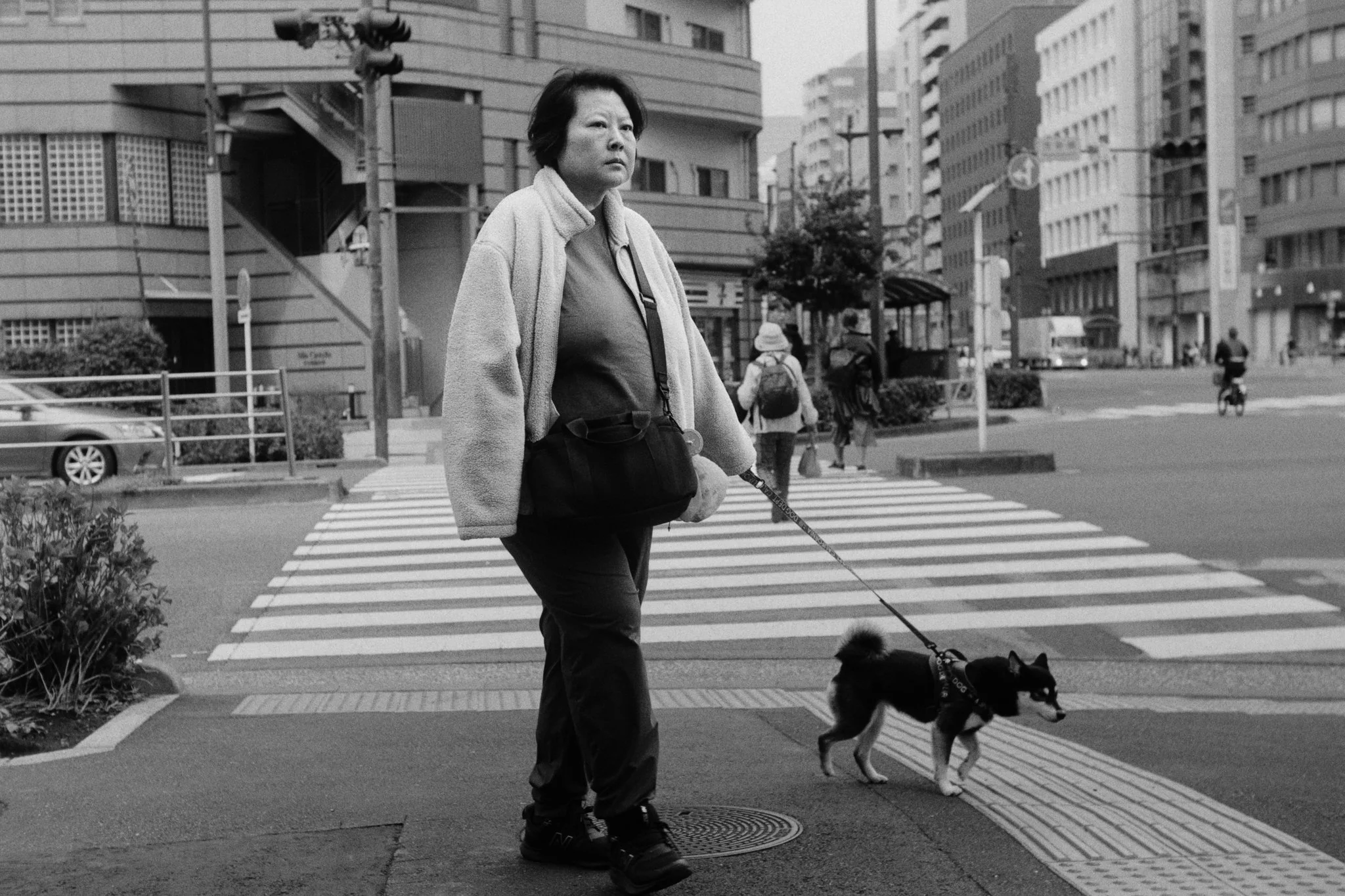 A woman and her dog waiting to cross a city street at a crosswalk, with tall buildings and other pedestrians in the background.