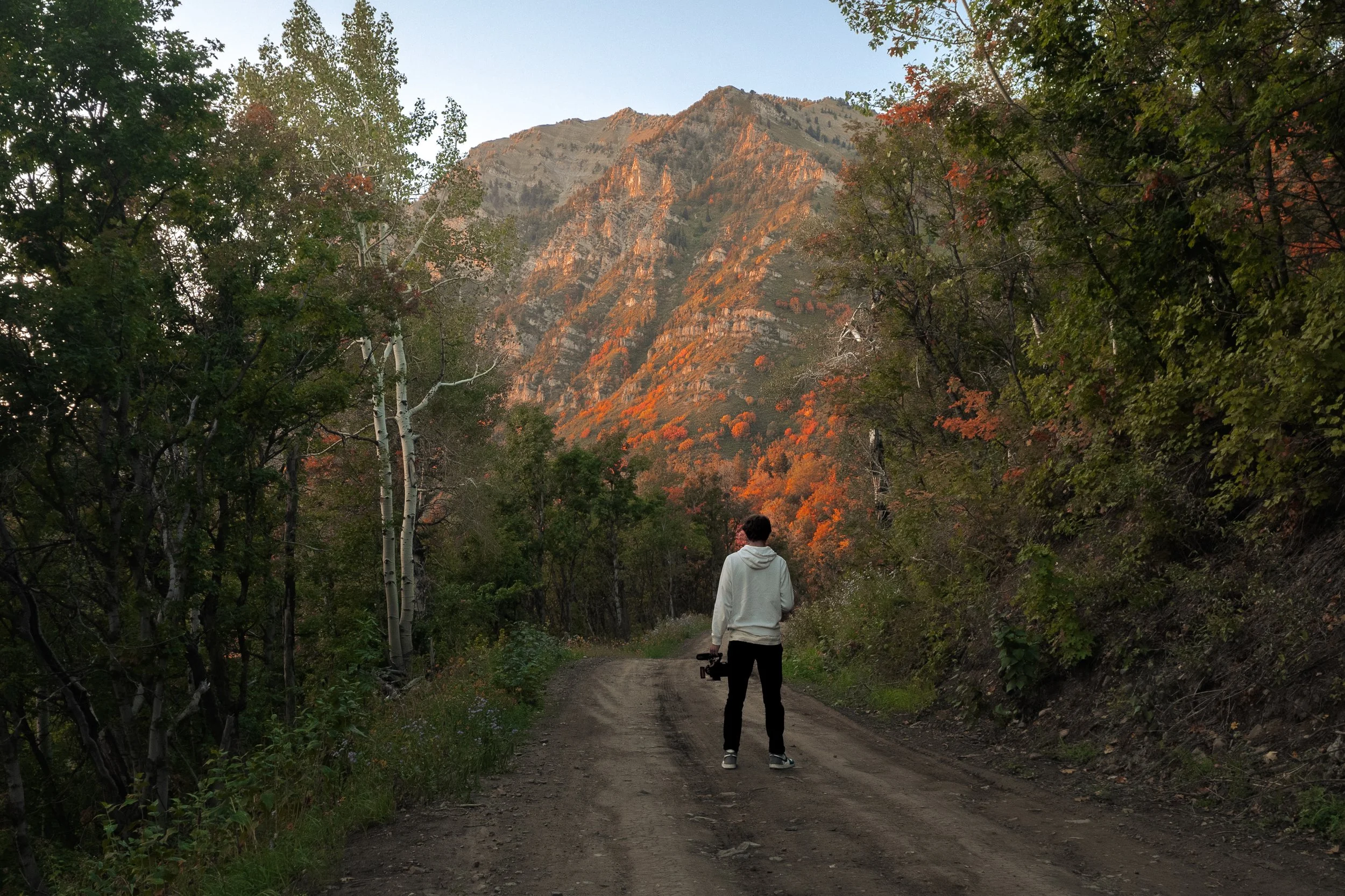 Person standing on a dirt road in a forest with autumn foliage, facing a mountain.