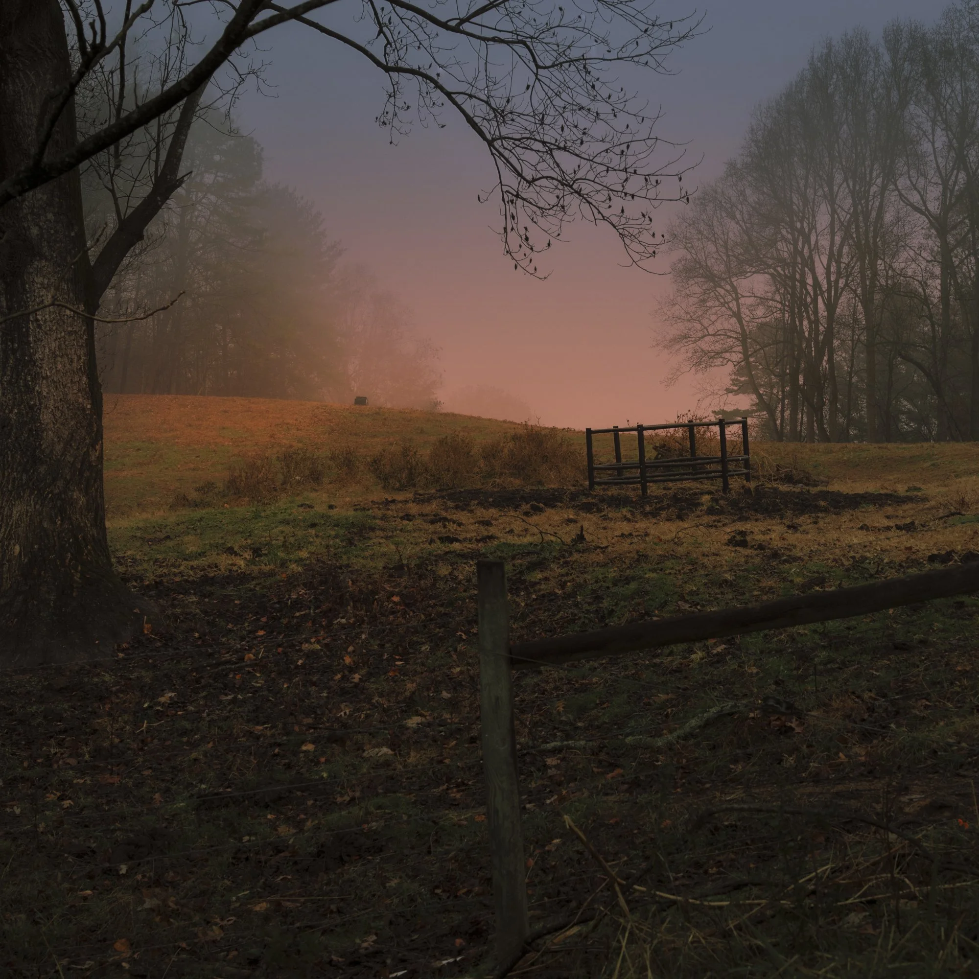 Sunrise in the Pasture