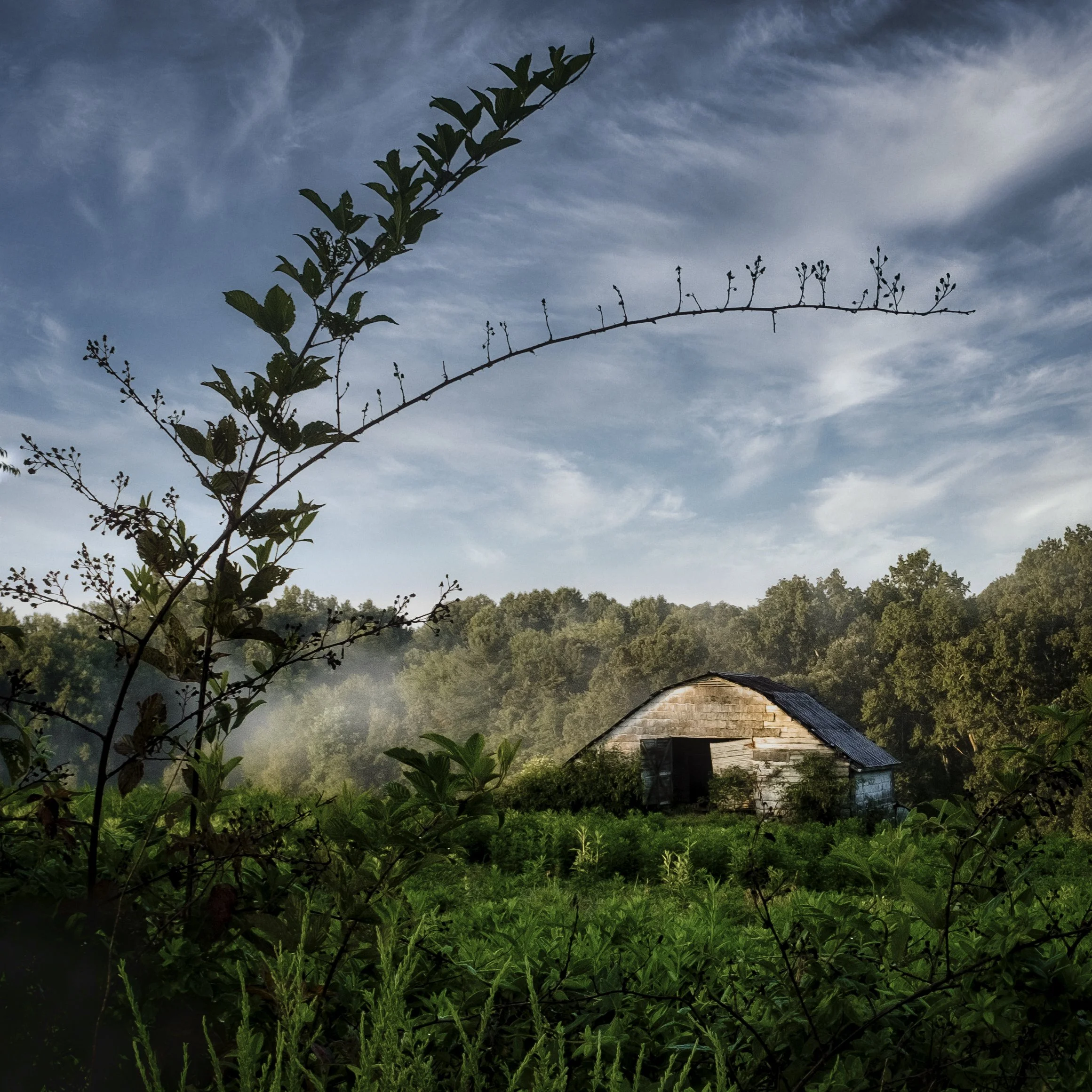 Barn 1 copy.jpeg