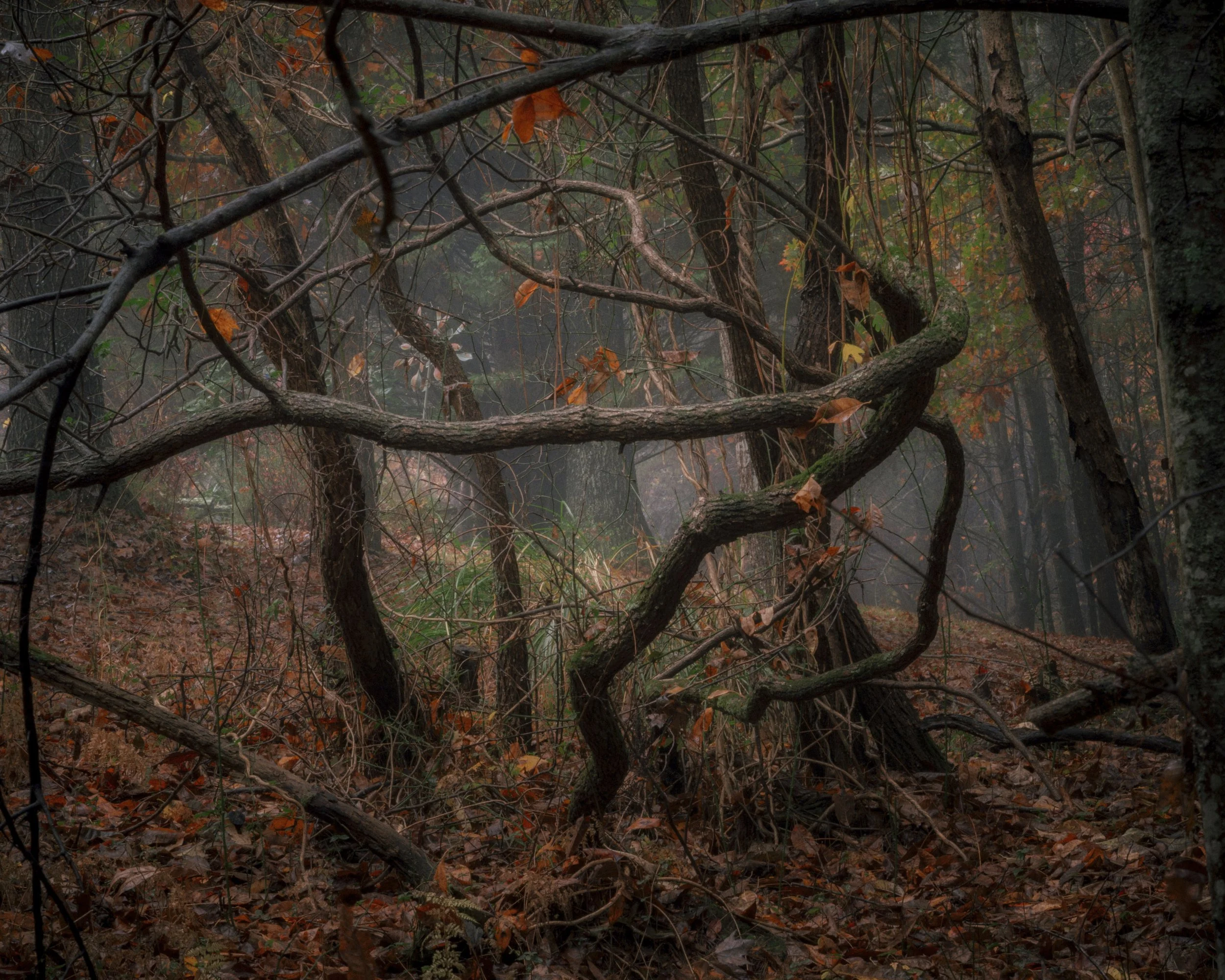 12.Twisted Neo 2.jpeg