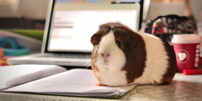 5 Mindhacks for Overcoming Procrastination: Part 2