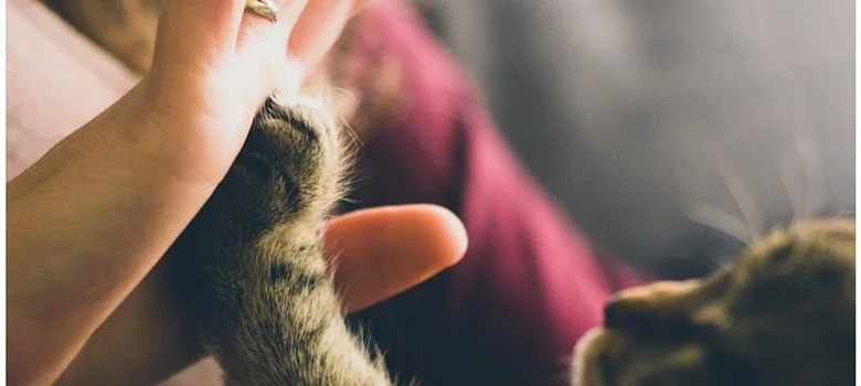 The Powerful 3-Word Phrase That Makes Me a Better Person