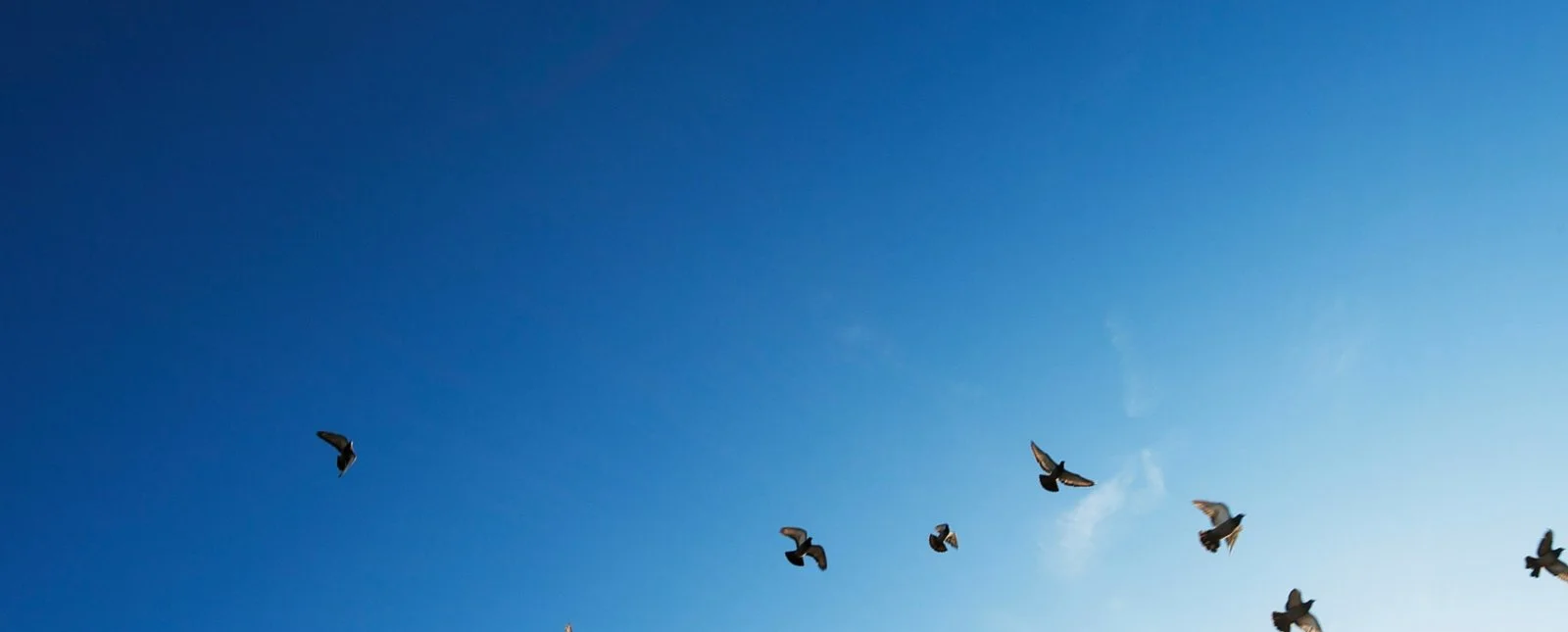 When Was the Last Time You Wrote Your Own Eulogy?