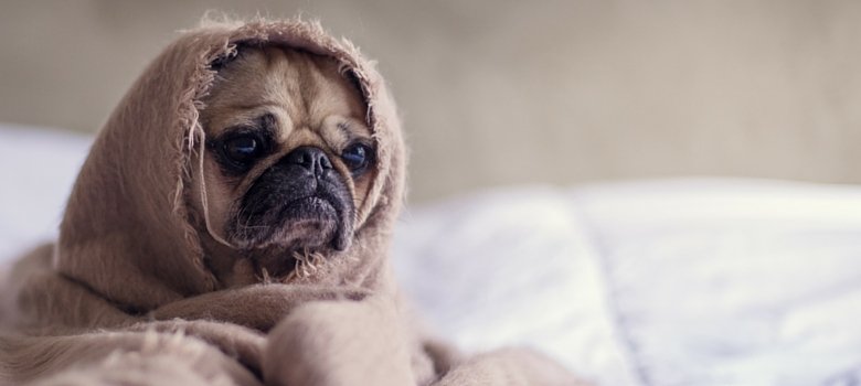 20 Uplifting Quotes on Self-Compassion for a Rainy Day