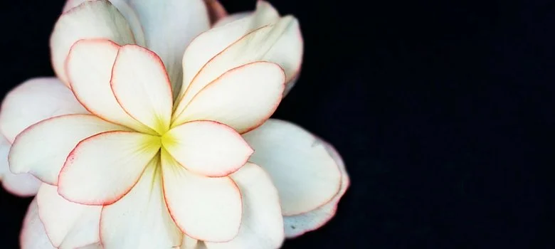 93: 5 Powerful Questions for Clarity, Confidence &amp; Self-Connection