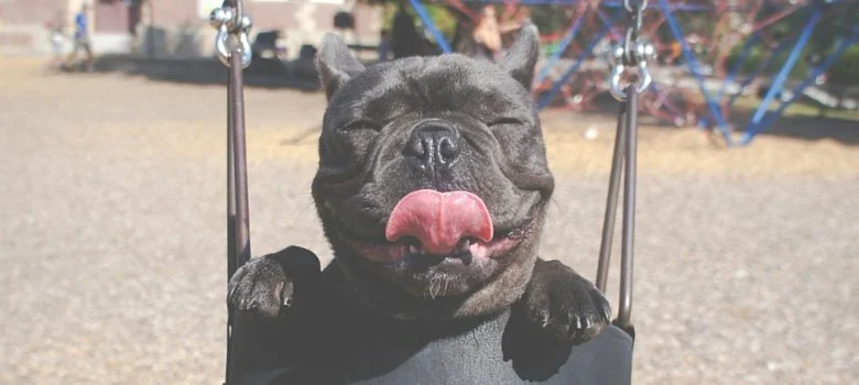 94: Want to Become More Self-Expressive? Try Doing These 5 Things